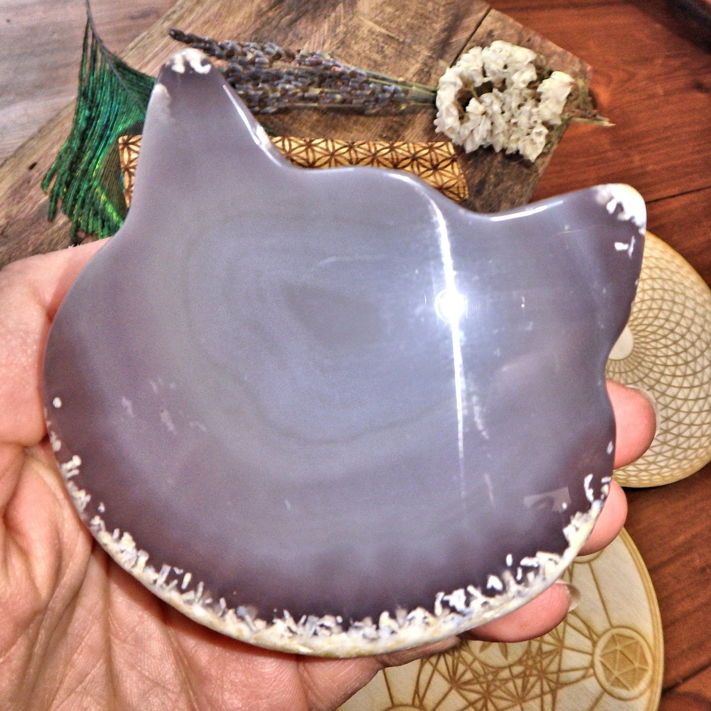 Cat Lover Druzy Geode Large Agate Carving 8
