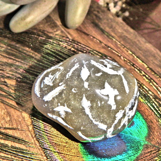 Alligator Agate Polished Nodule Hand Held Specimen From Brazil