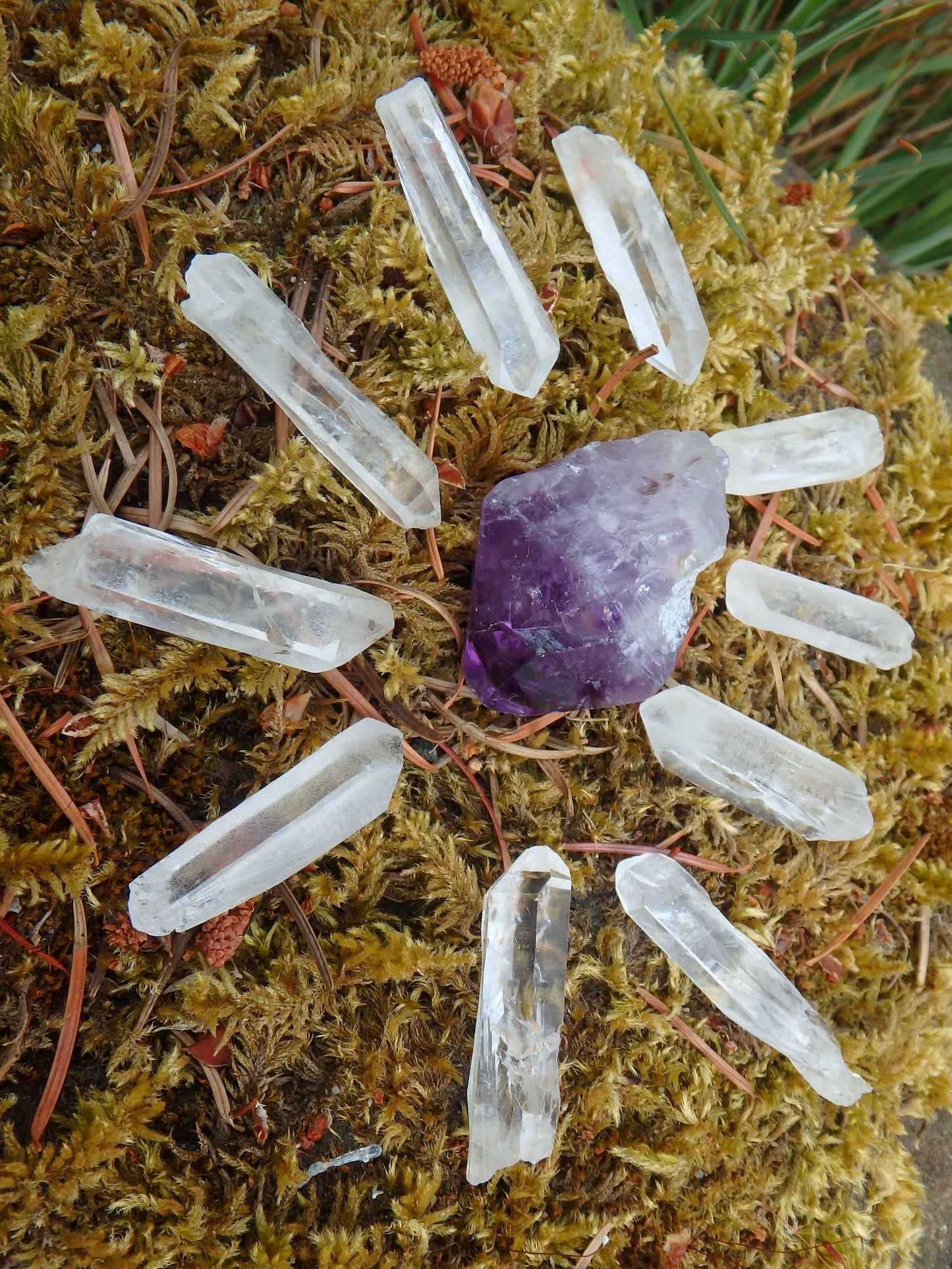 Manifestation Set~Natural Amethyst Point with 10 Clear Quartz Points Perfect for Crystal Grids - Earth Family Crystals