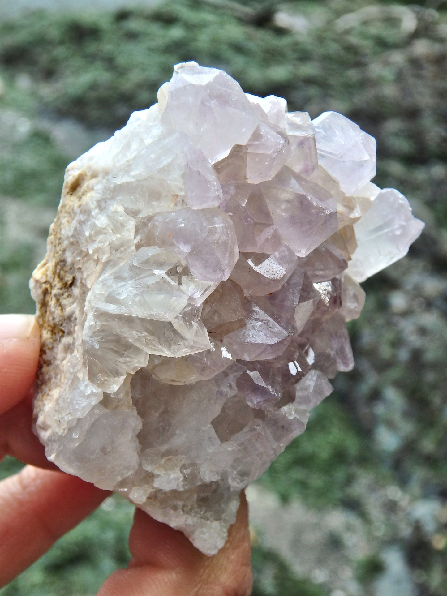 Lavender Ametrine Quartz Cluster Specimen 1 - Earth Family Crystals