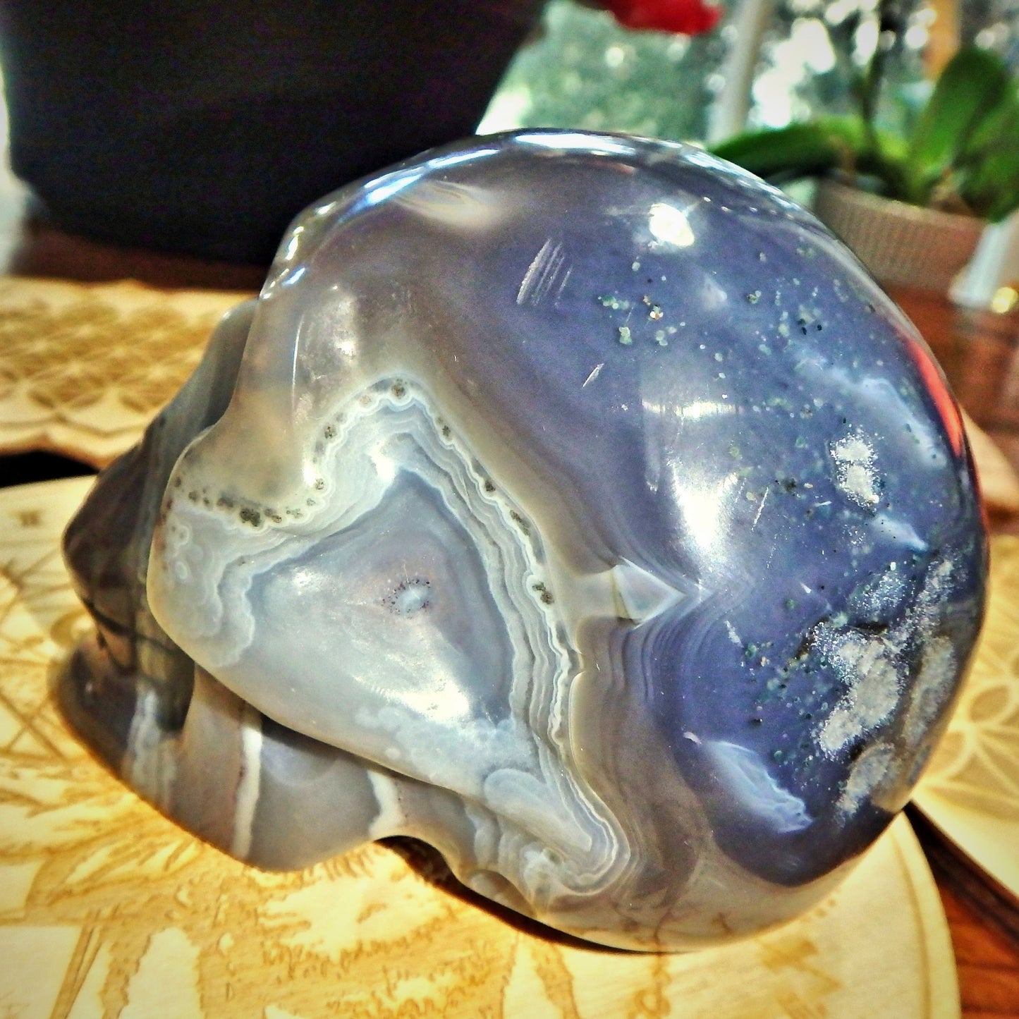 Mr Spunky ~Deep Amethyst Druzy Cave & Blue Agate Swirls Large Skull Carving From Brazil - Earth Family Crystals