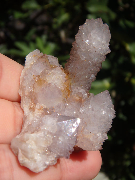 Ametrine Multi Points Spirit Quartz Cluster From South Africa
