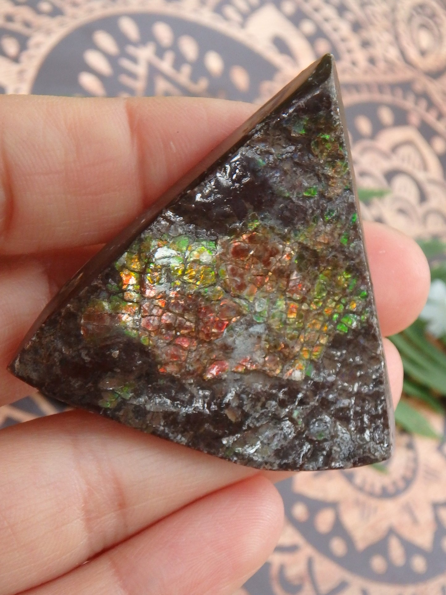 Shimmering Flashes Alberta Ammolite on Matrix Specimen - Metiz Tier Price
