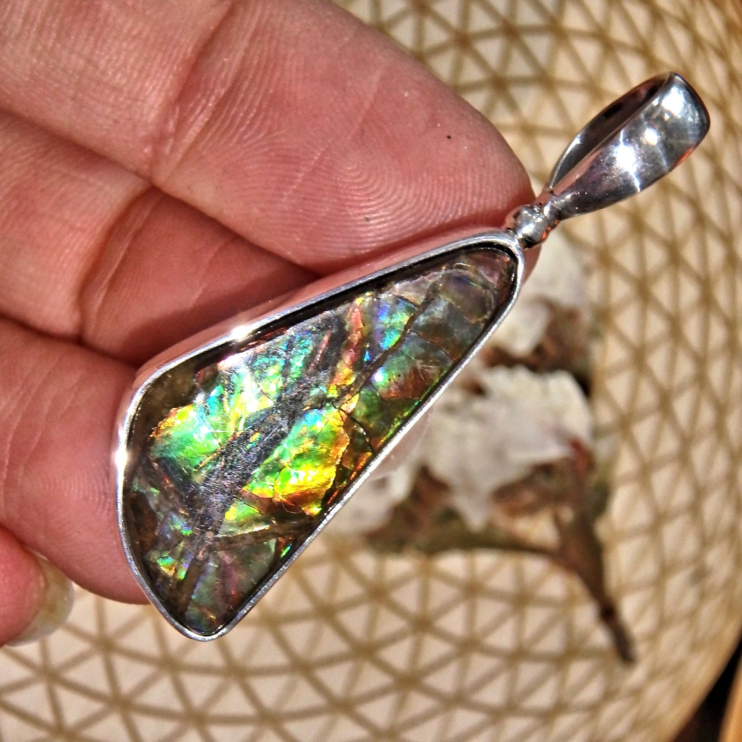 Fabulous Rainbow of Colors Ammolite Healing Pendant in Sterling Silver (Includes Silver Chain) - Earth Family Crystals