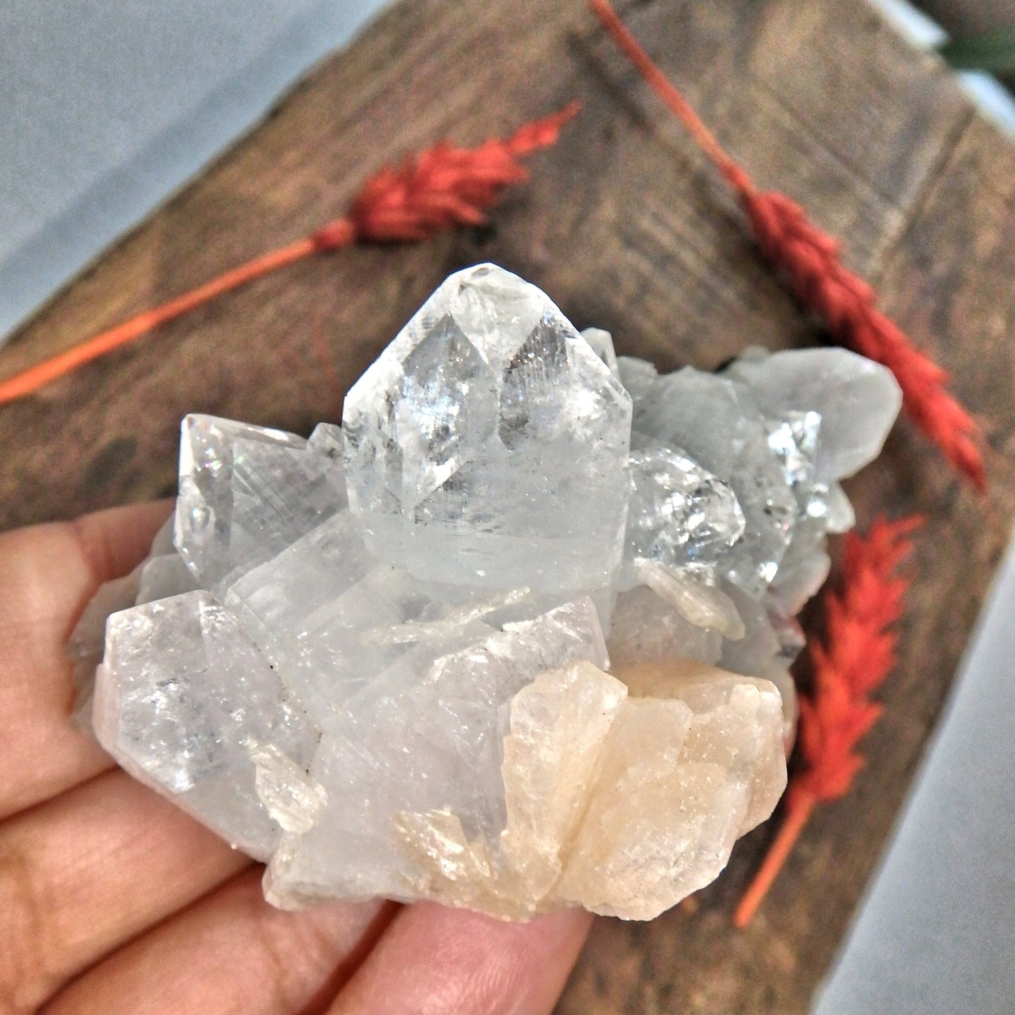 High Brilliance Clear Apophyllite & Stilbite Cluster From India - Earth Family Crystals