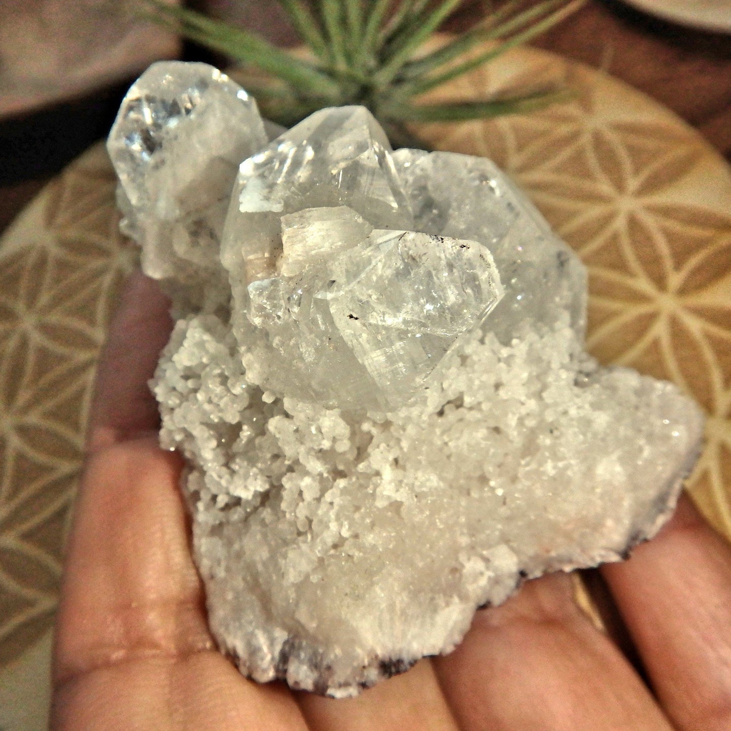 Angelic Clear Apophyllite Points Nestled on Matrix From India