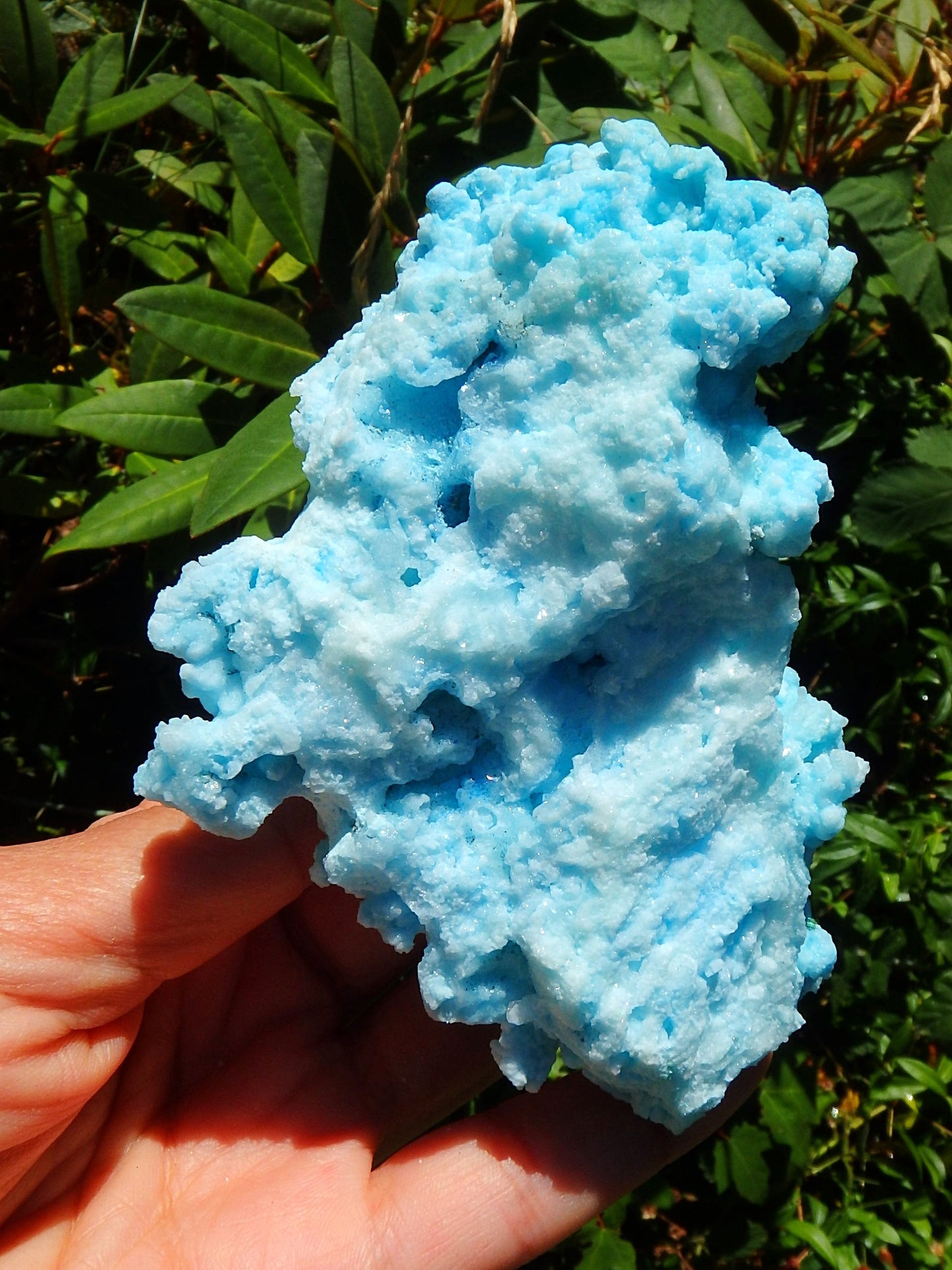 Incredible Cotton Candy Blue Aragonite 3D Depth Natural Specimen - Metiz Tier Price