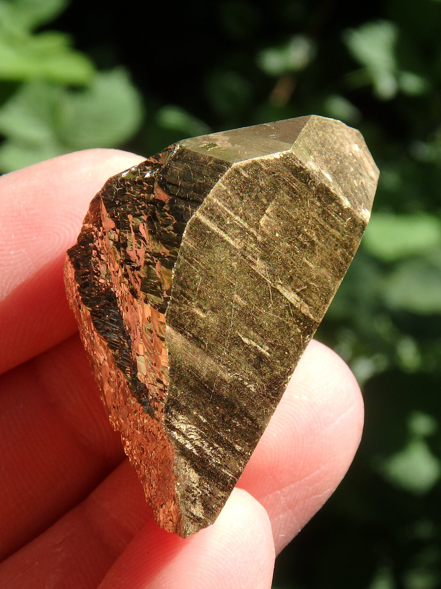 Shiny Gold Aura Quartz Point with Self Healing & Record Keepers - Metiz Tier Price