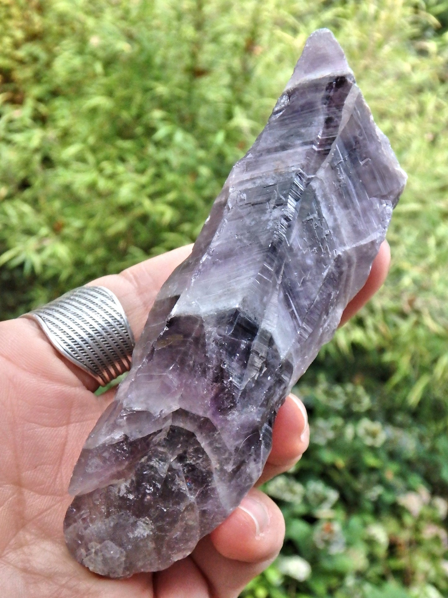 Gorgeous Purple Chevron Auralite-23 Point From Ontario, Canada - Earth Family Crystals