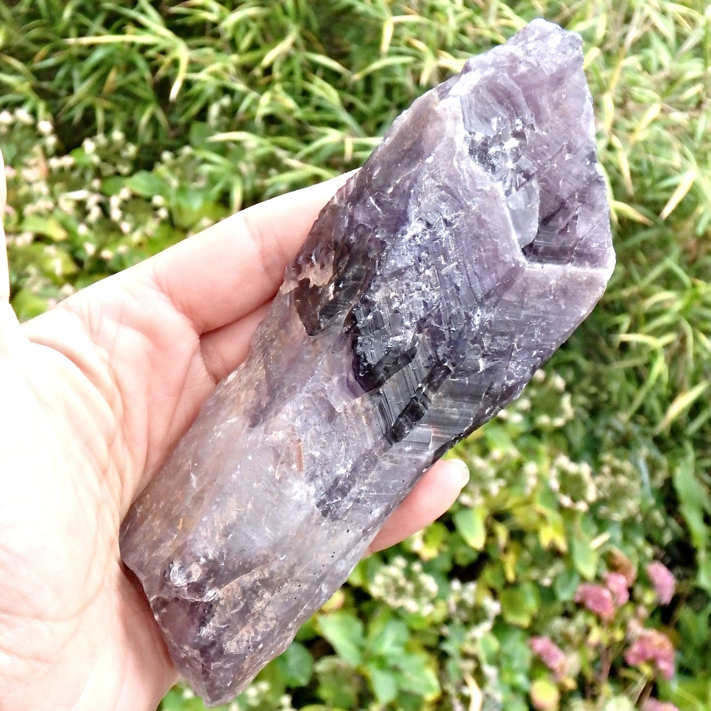 Powerful XL Deep Purple Auralite-23 Point From Ontario, Canada