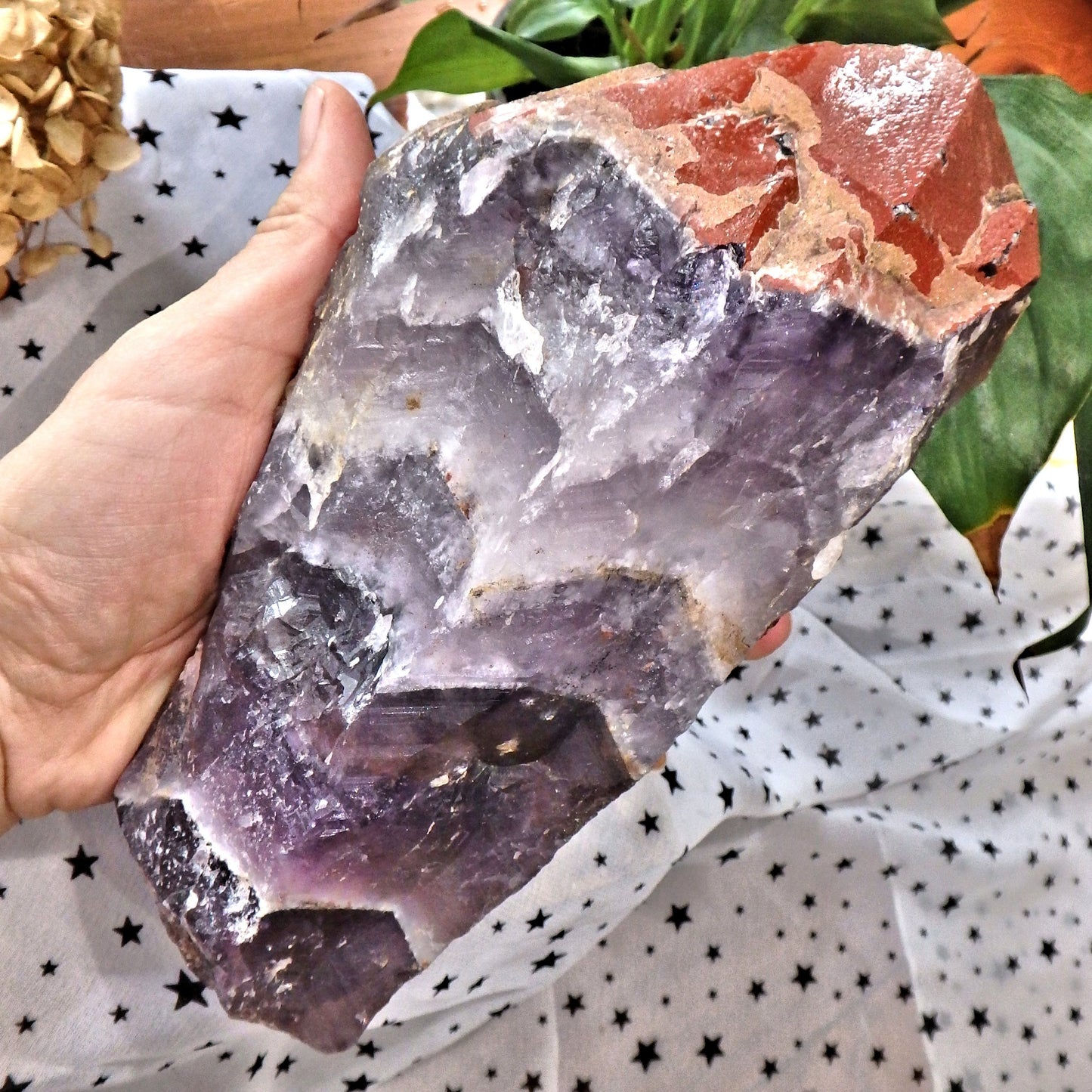 Incredible XXL Red Hematite & Quartz Druzy Crusted Tipped Auralite-23 Point With Record Keepers From Ontario Canada