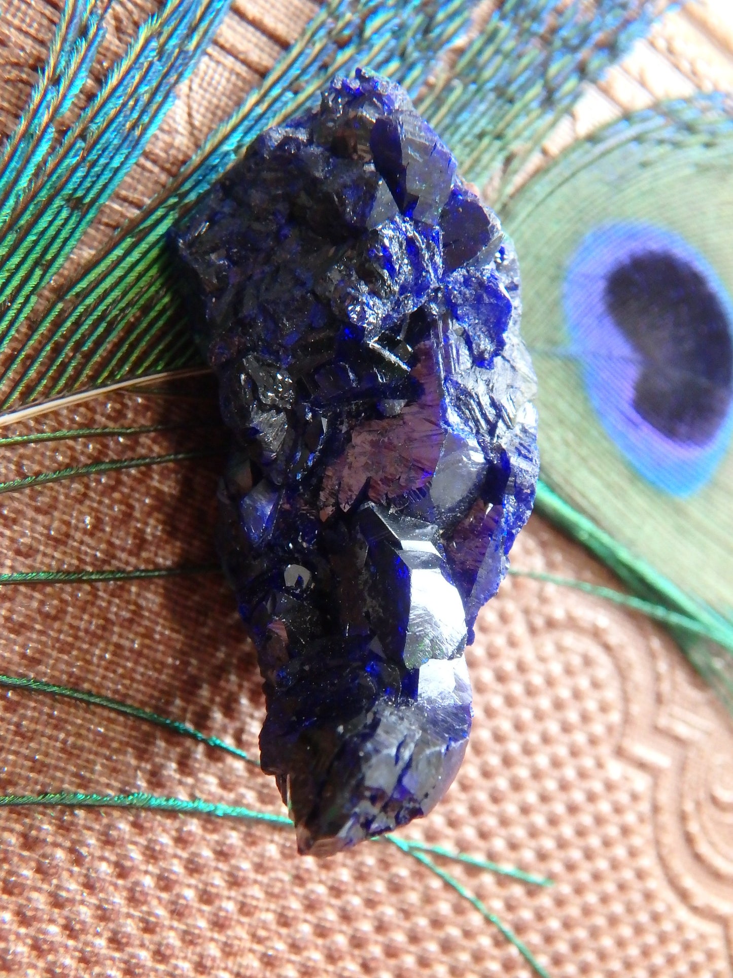Gemmy Cobalt Blue Crystal Azurite From Mexico - Earth Family Crystals