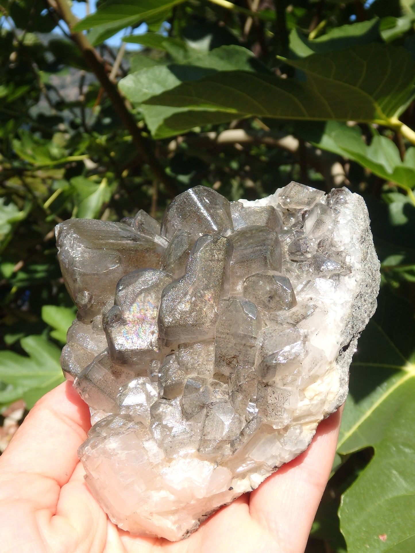 Large Barite Loaded With Rainbows Cluster Specimen - Metiz Tier Price