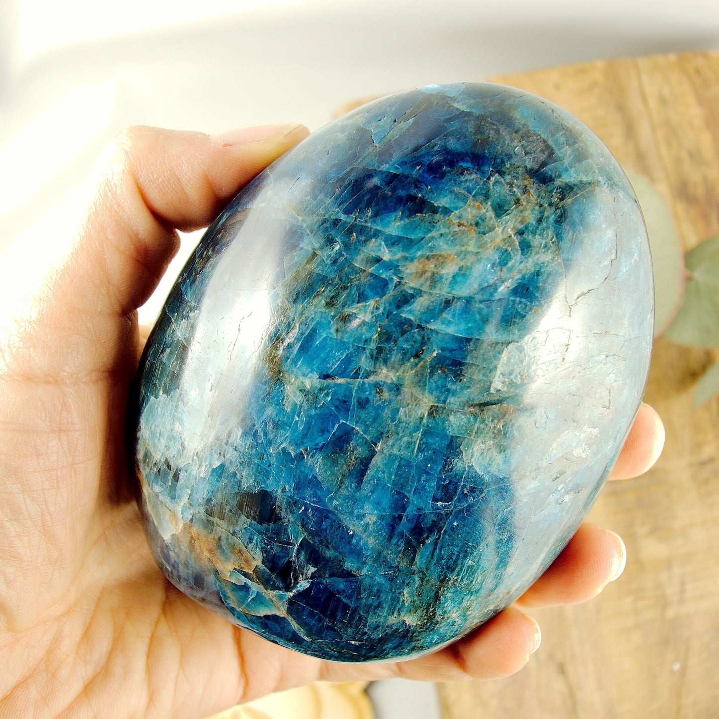 Incredible Gemmy Sheen Blue Apatite Standing Display Specimen - Earth Family Crystals