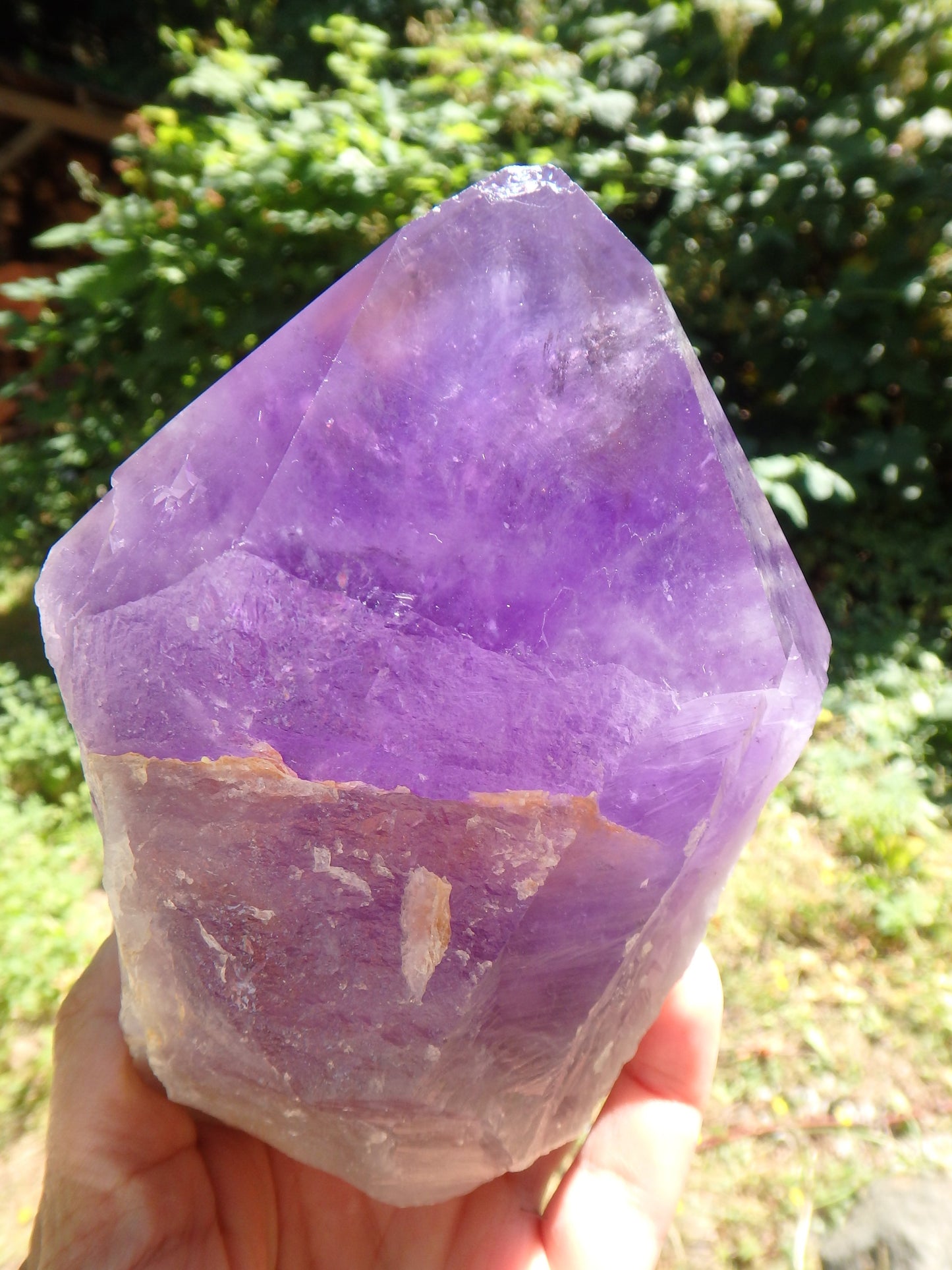 Incredible Large Bolivian Ametrine Elestial Unpolished Self Standing Specimen With Record Keepers 1 - Earth Family Crystals