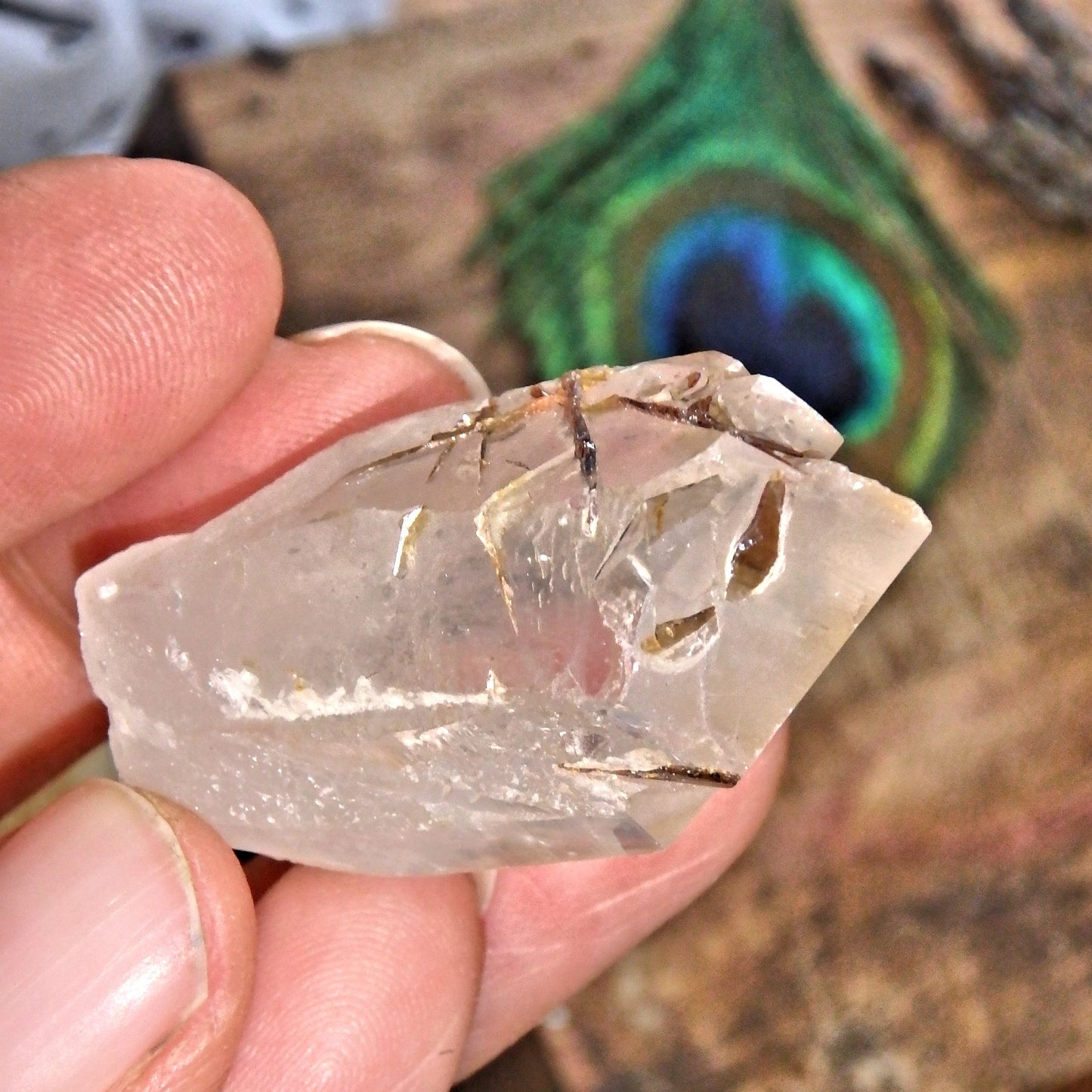 Golden Brookite Blades Nestled in Brazilian Quartz Point 2 Default Title - Earth Family Crystals