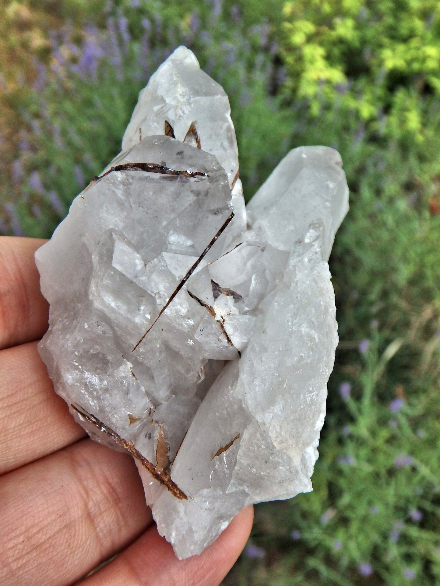 Brazilian Quartz & Golden Brookite Cluster Specimen1