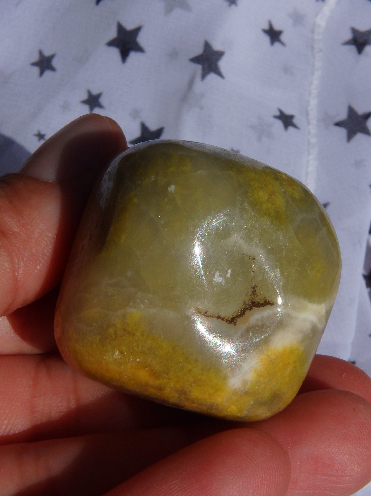 Bumble Bee Jasper Palm Stone1