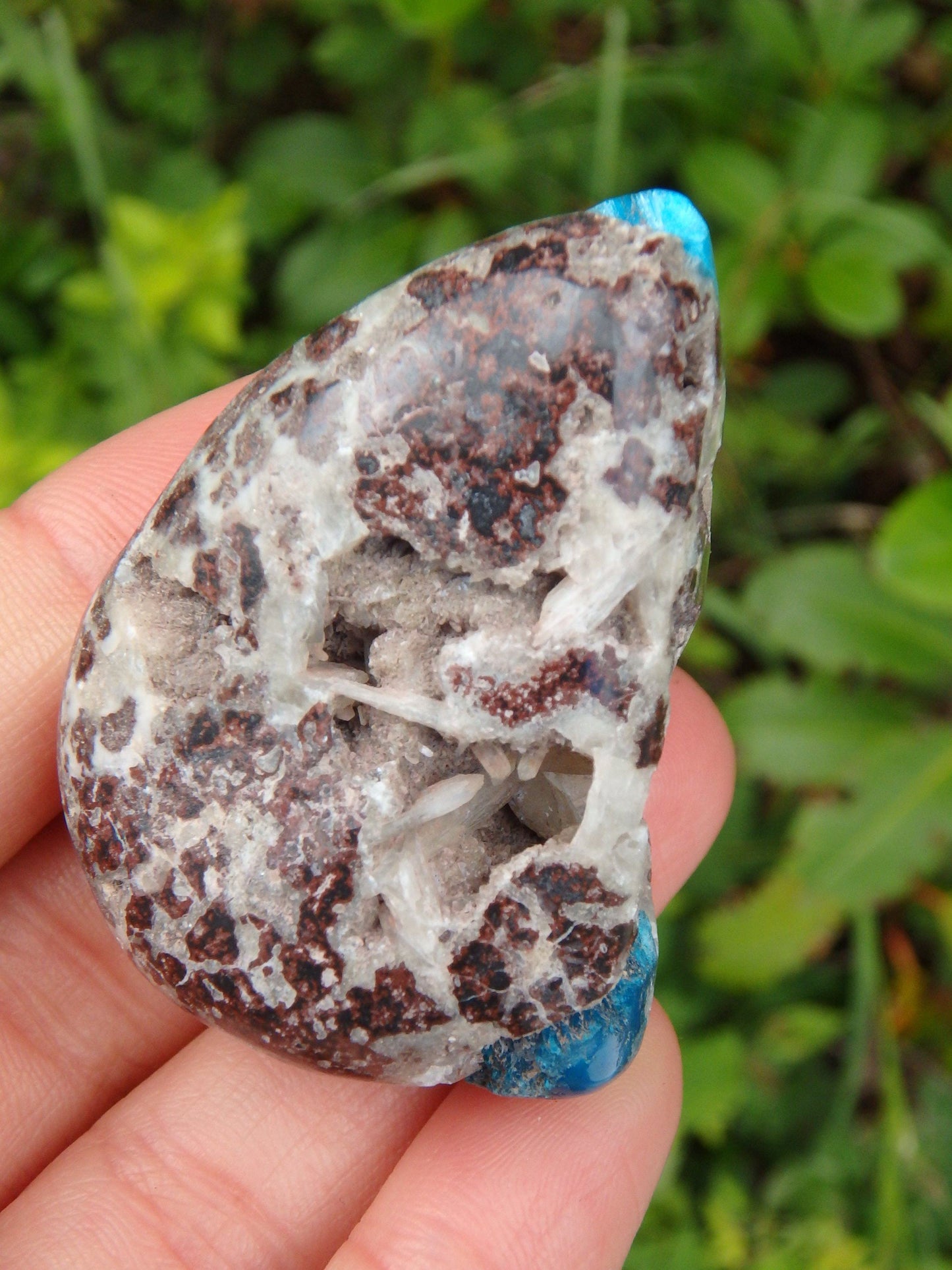 Electric Blue Cavansite in Partially Polished Matrix Palm Stone From India 1