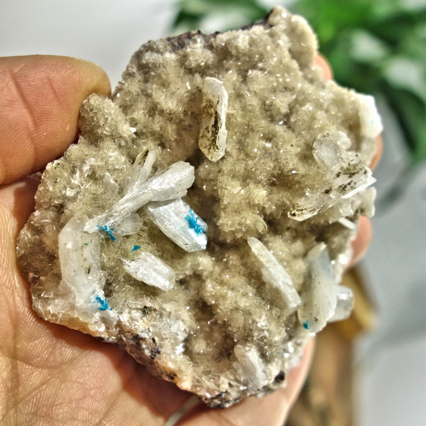 Electric Blue Cavansite Flowers Nestled on Shimmering Heulandite Matrix From India