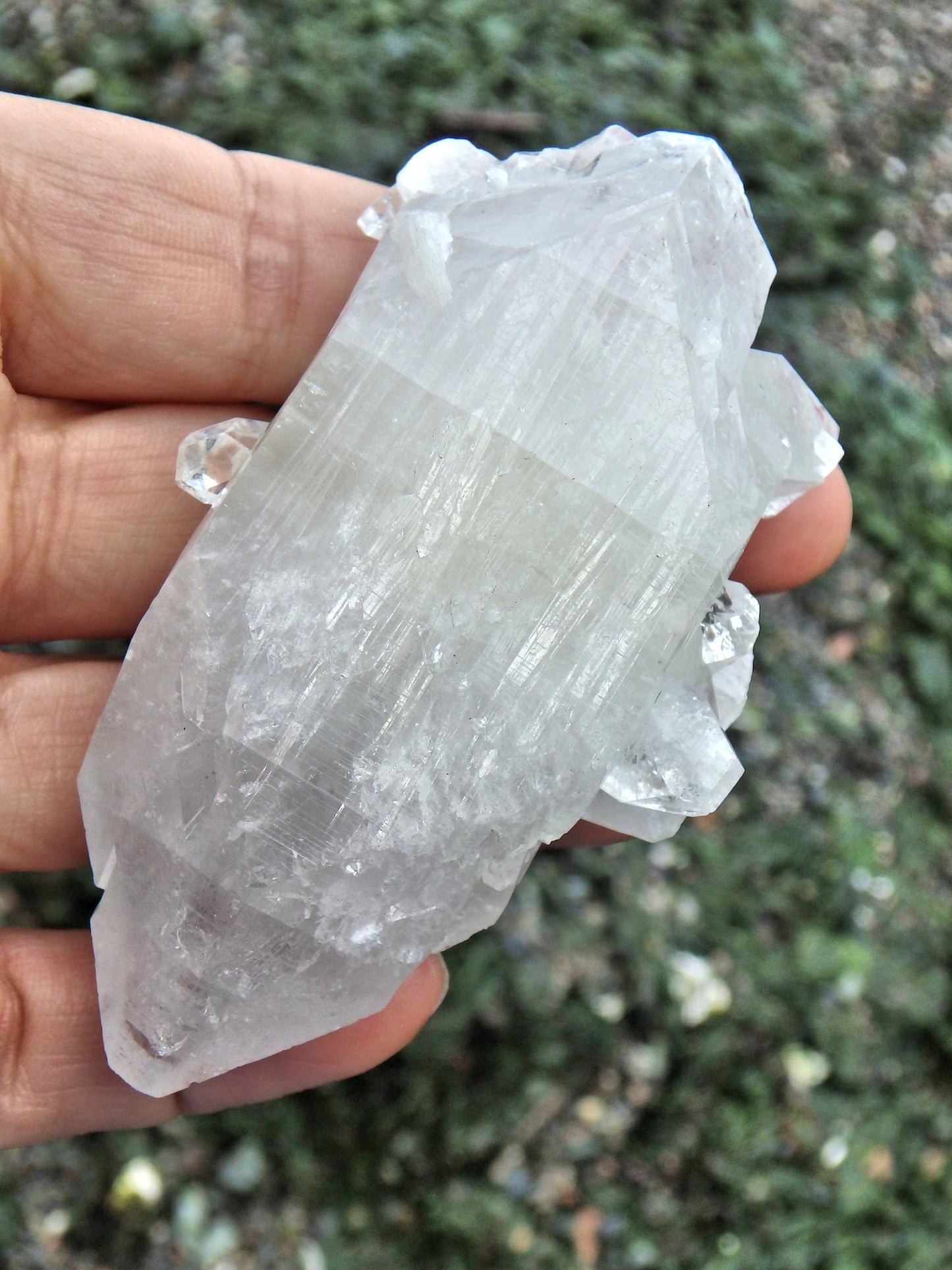 Lovely Clear Apophyllite Point With Babies & Green Inclusions - Earth Family Crystals