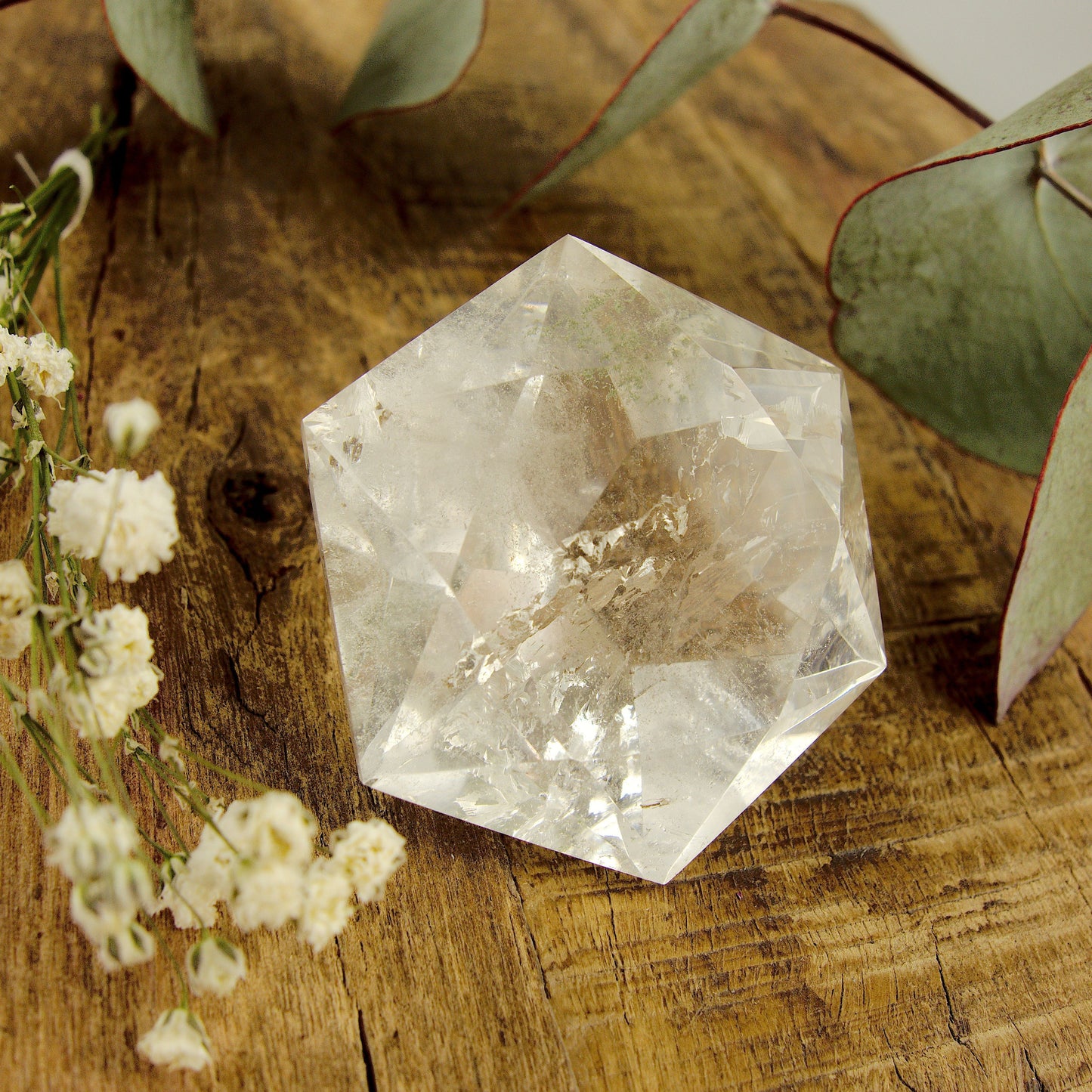 Green Chlorite Included Faceted Diamond Cut Clear Quartz Specimen - Earth Family Crystals