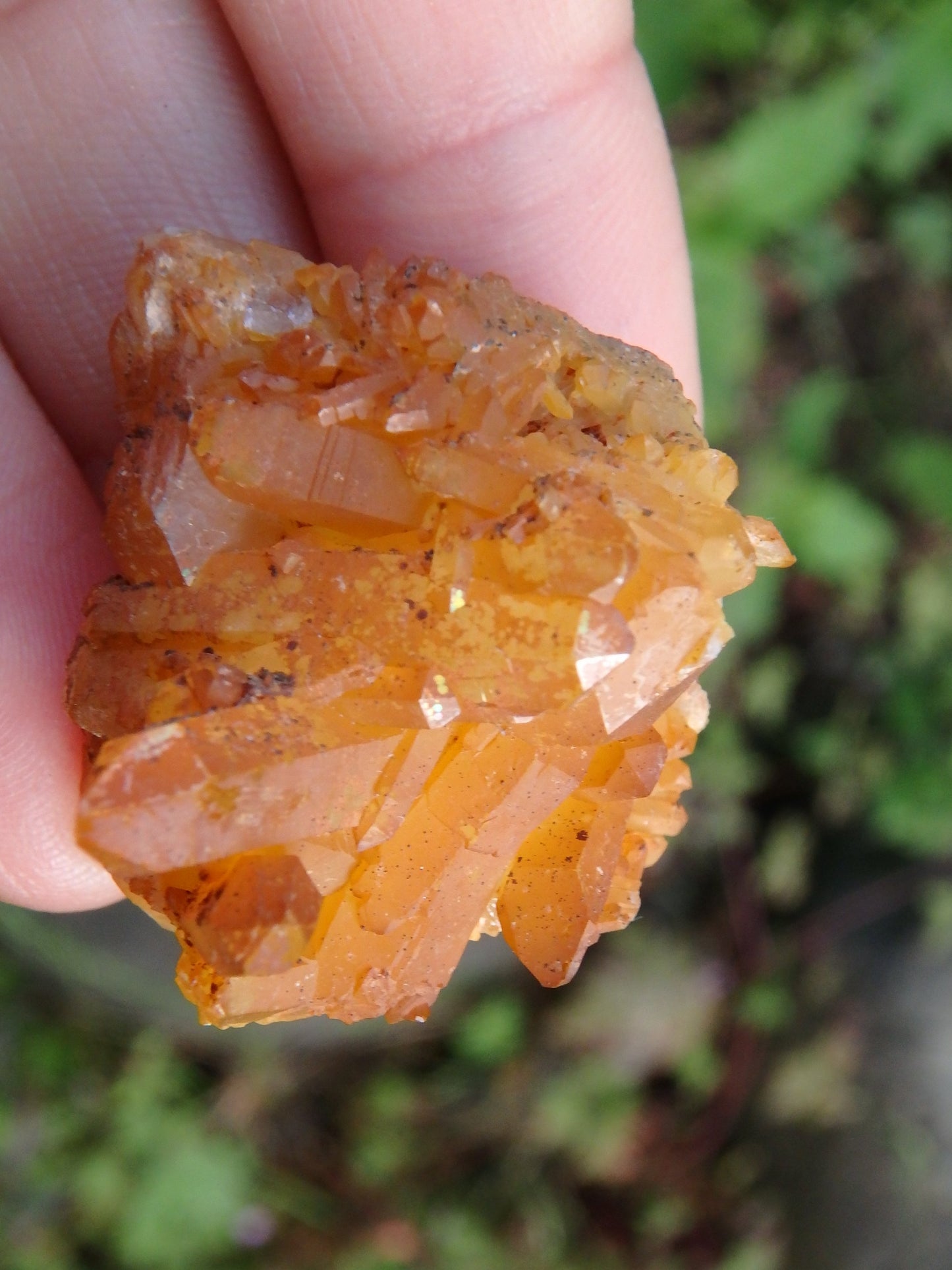 Hand Held Rainbow Mayanite Quartz Specimen - Earth Family Crystals