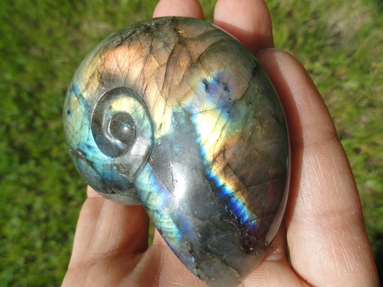 LABRADORITE AMMONITE CARVING With Extreme Flash~ Stone of Clairvoyance, Telepathy, Prophecy* - Earth Family Crystals