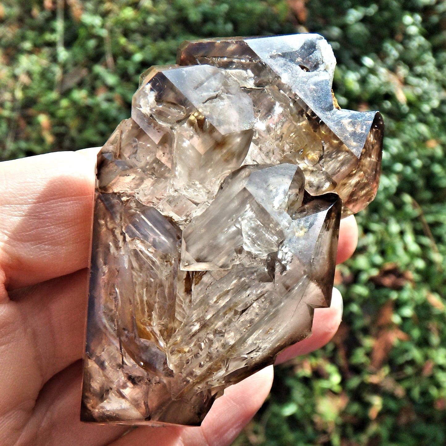 HIgh Vibration Double Terminated Elestial Smoky Quartz From Brazil With Self Healing - Earth Family Crystals