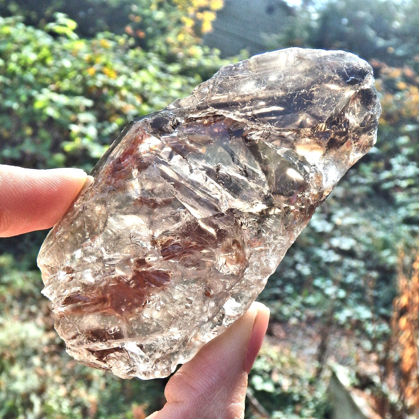 Fantastic Growth Patterns Elestial Smoky Quartz From Brazil - Earth Family Crystals