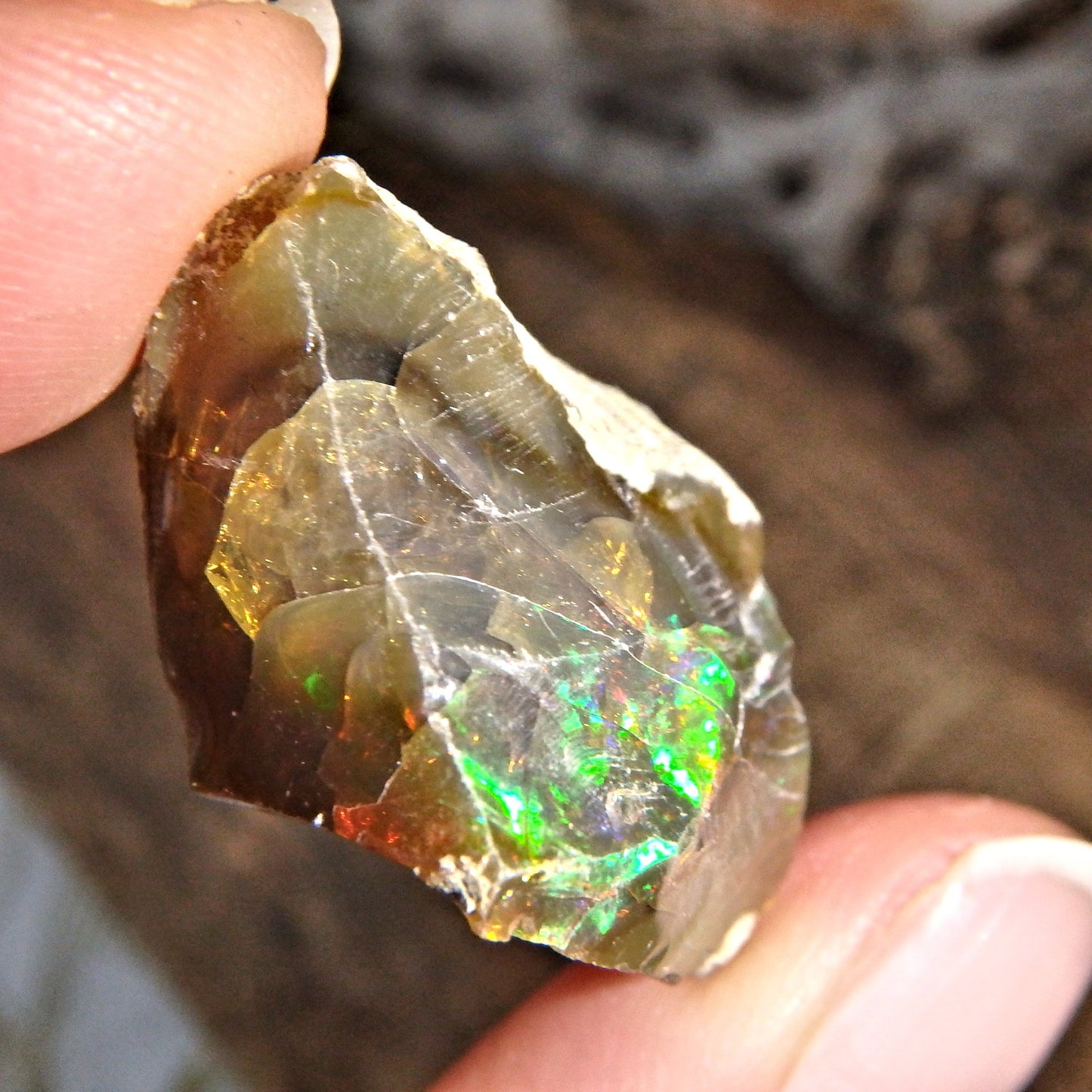 Incredible Rainbow Sparkle Flash Chocolate Brown Ethiopian Opal Raw Specimen