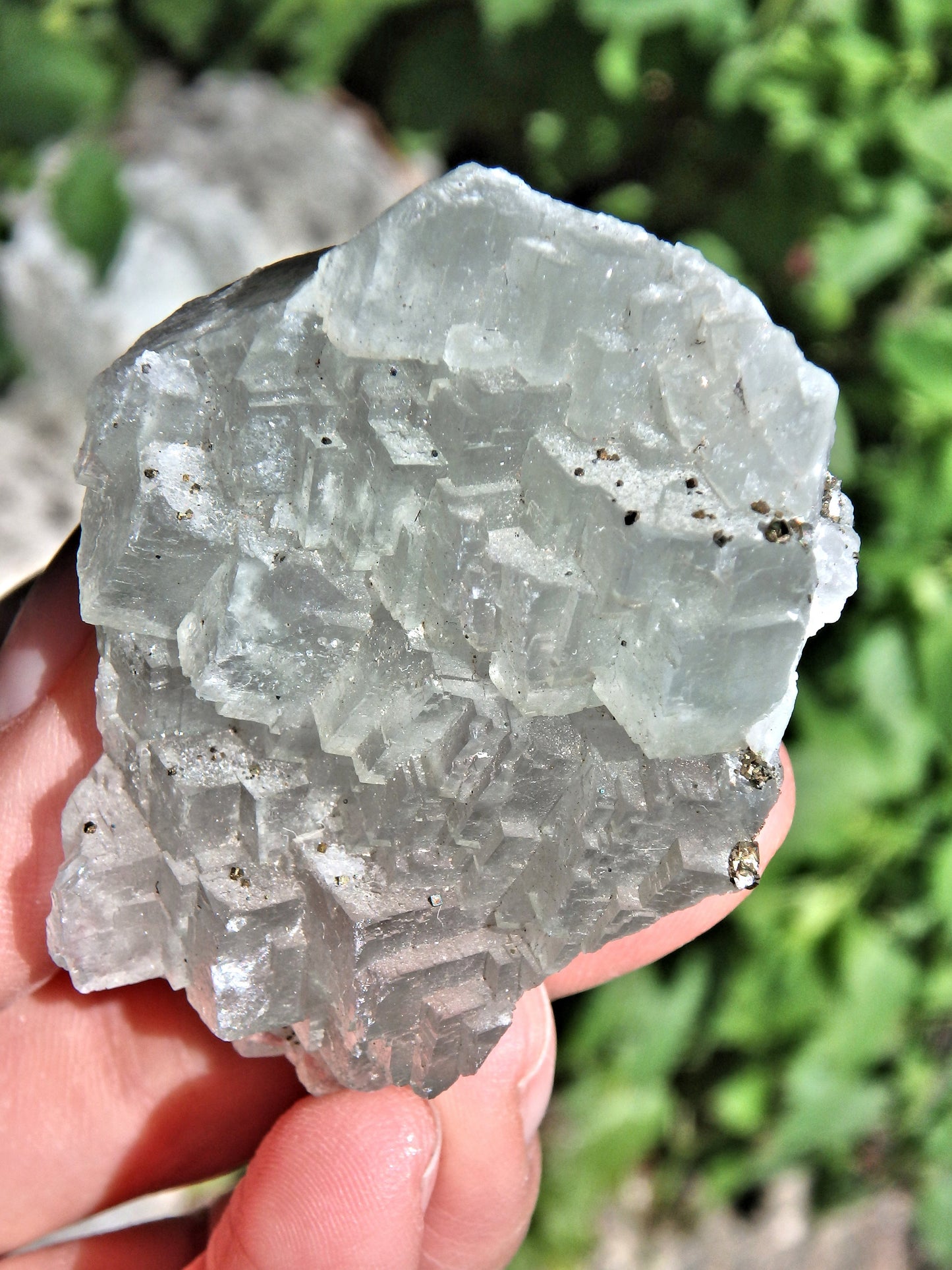 Mint Green Fluorite With Golden Pyrite Druzy Sprinkles - Earth Family Crystals