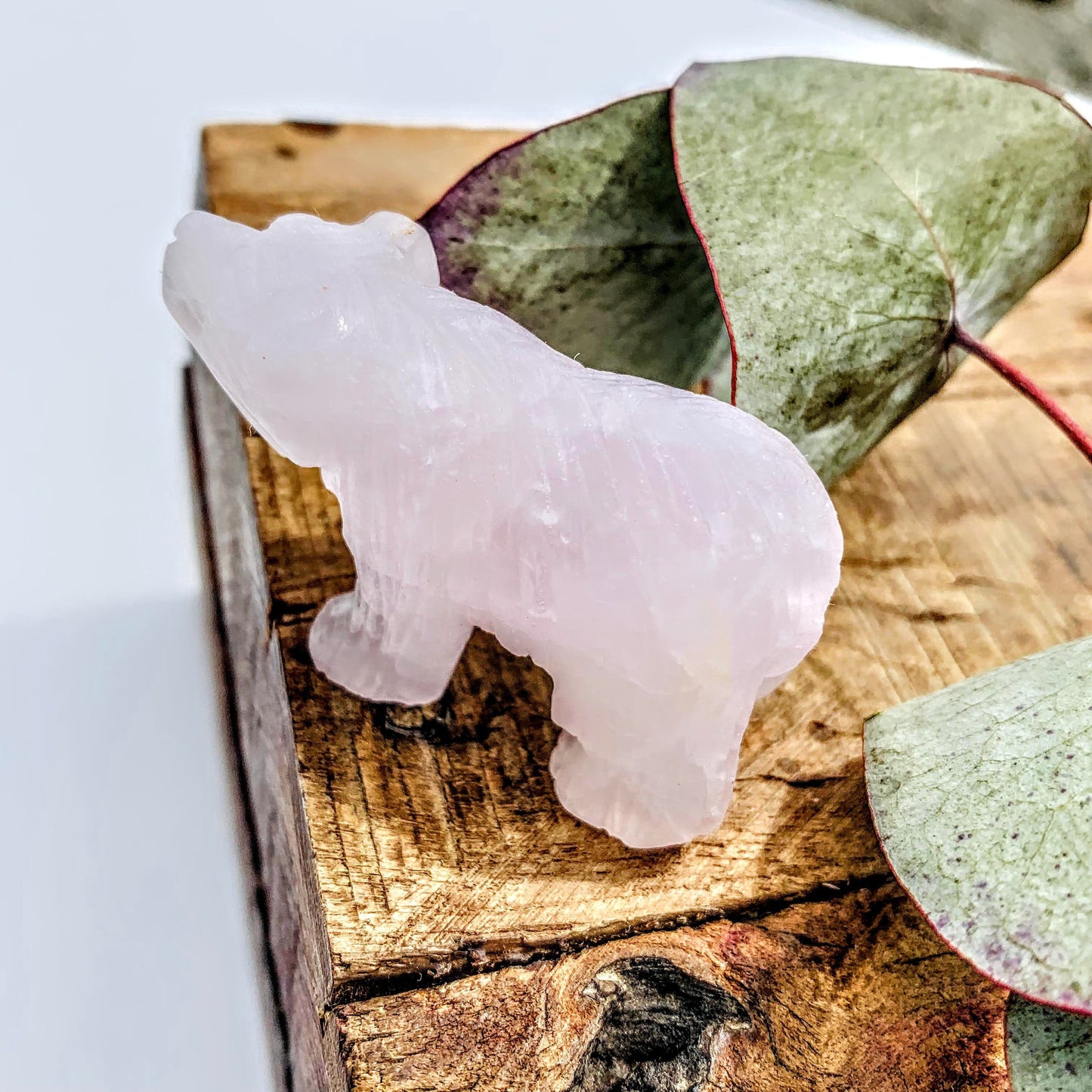 Adorable Rose Quartz Bear Display Carving