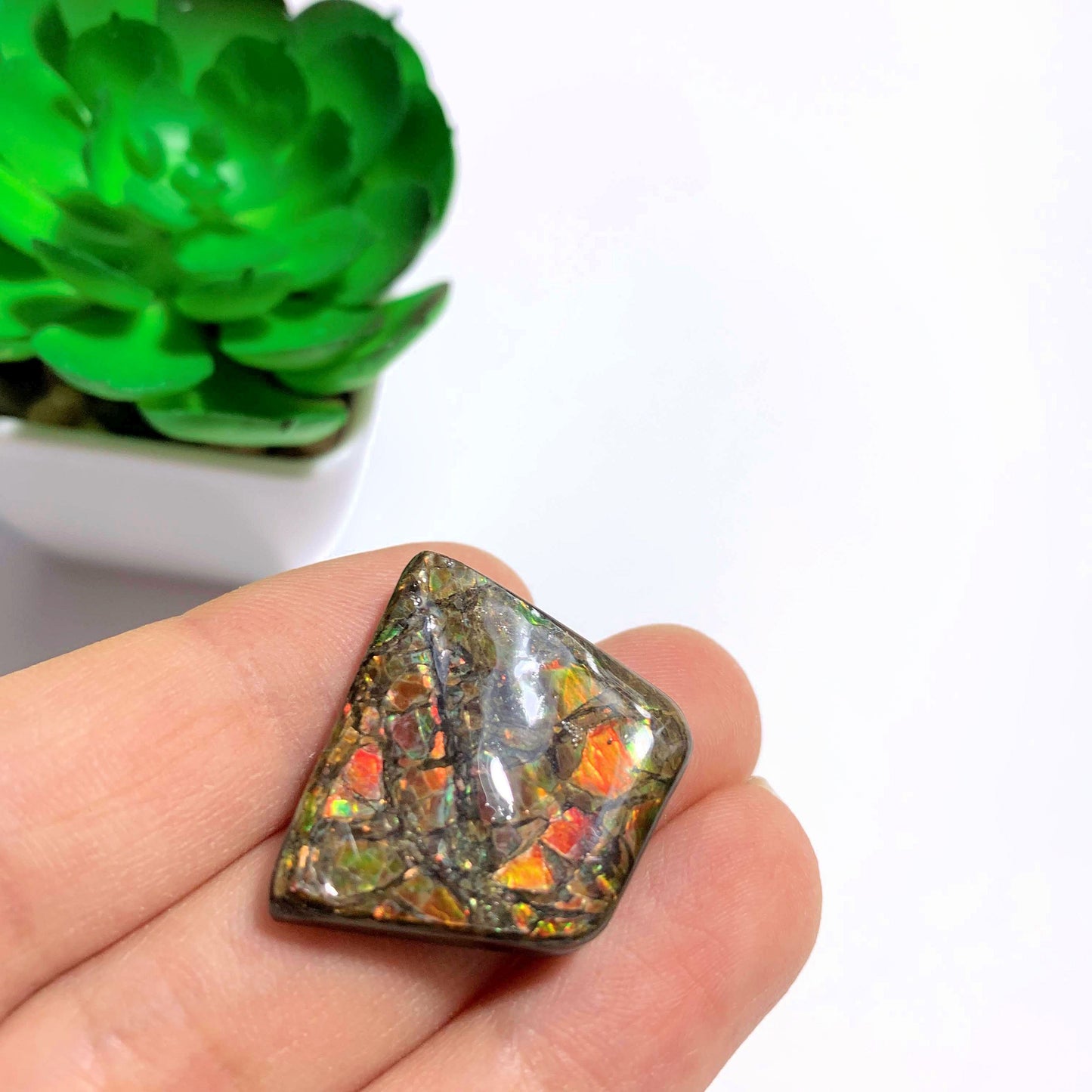 Alberta Ammolite Fossil Cabochon Ideal for Crafting #2