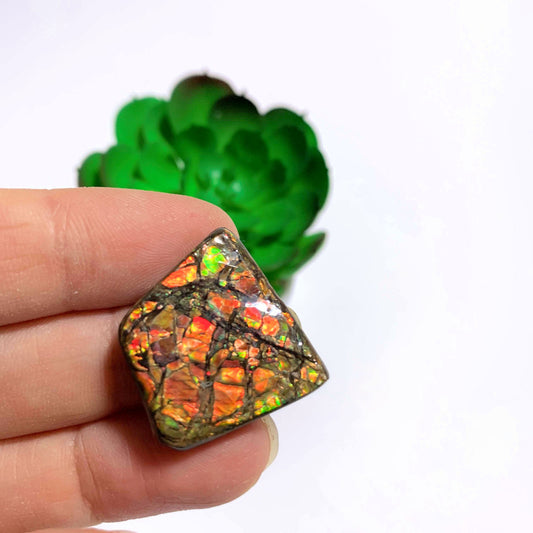 Alberta Ammolite Fossil Cabochon Ideal for Crafting #2