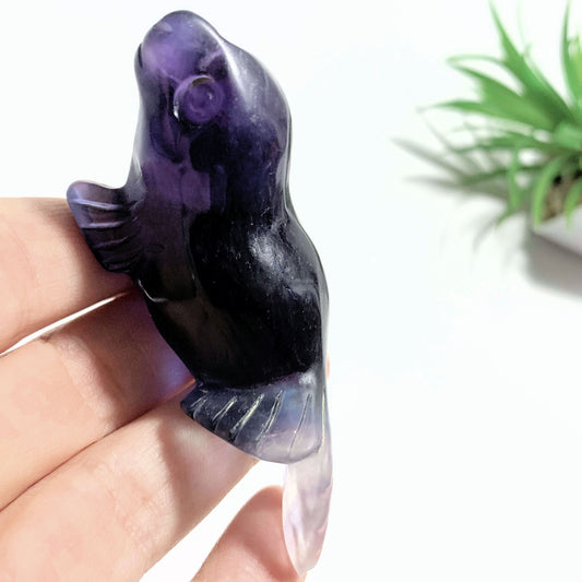 Adorable Rainbow Fluorite Sea Lion Display Carving *REDUCED*