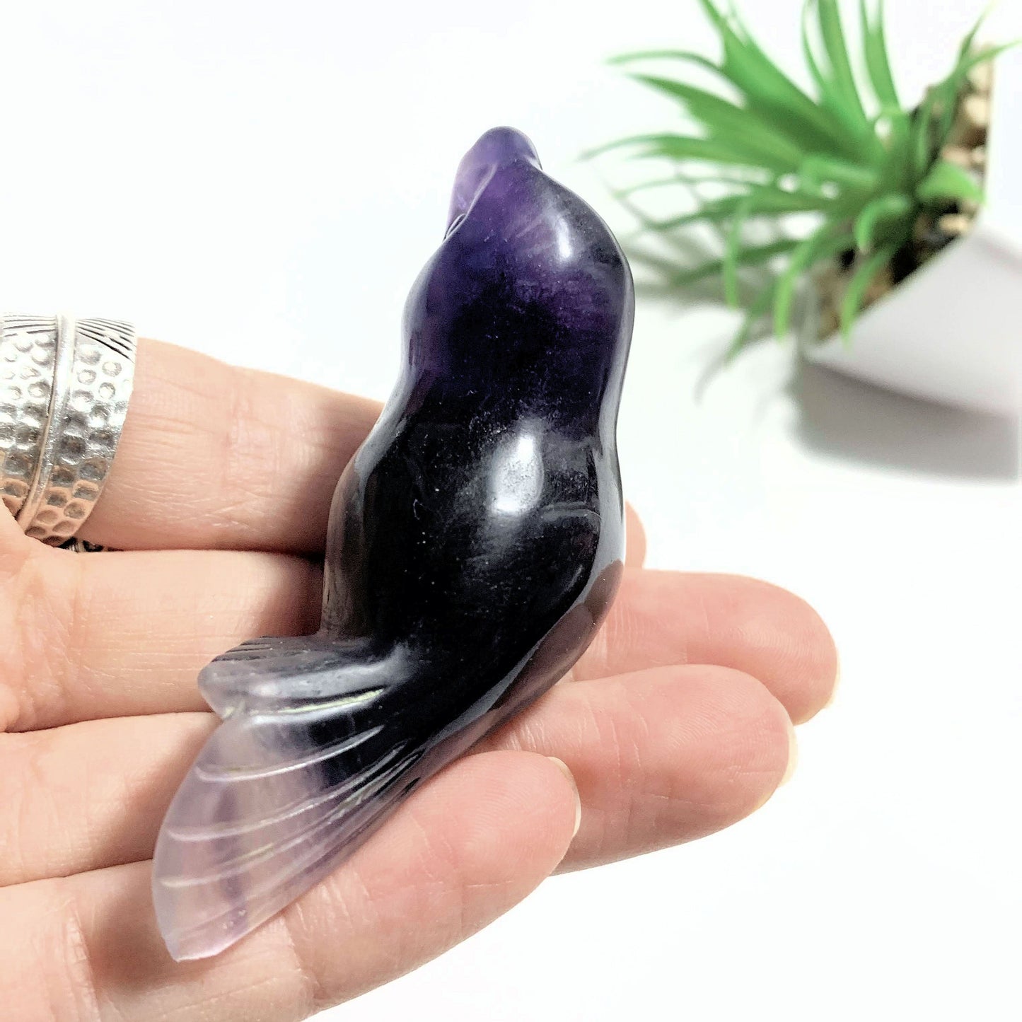 Adorable Rainbow Fluorite Sea Lion Display Carving *REDUCED*