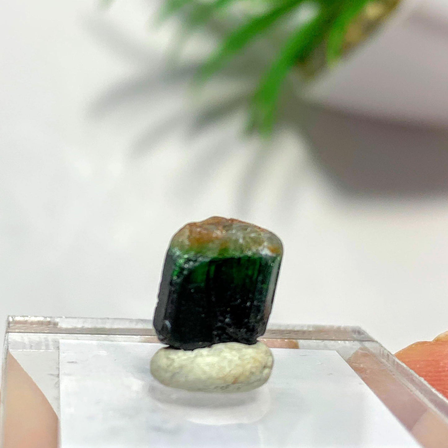 4.5 Carats Chrome Tourmaline Collectors Specimen on Stand~Locality Tanzania