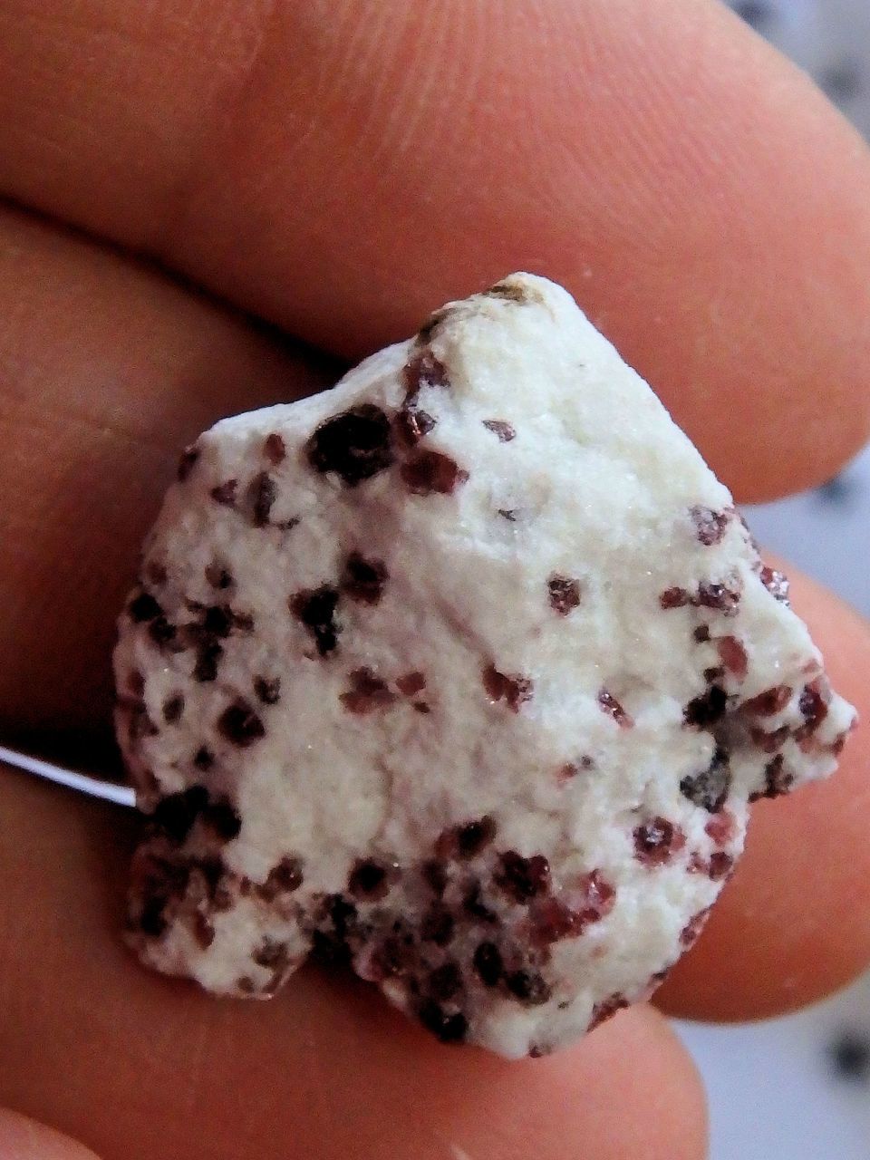 Greenland Rare Burgundy Kakortokite in Creamy White Matrix - Earth Family Crystals