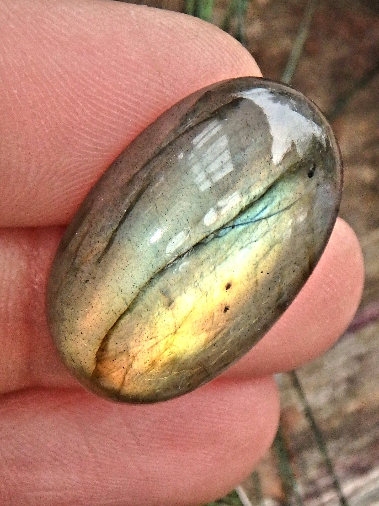 Optical Blue & Golden Flash Labradorite Cabochon - Metiz Tier Price