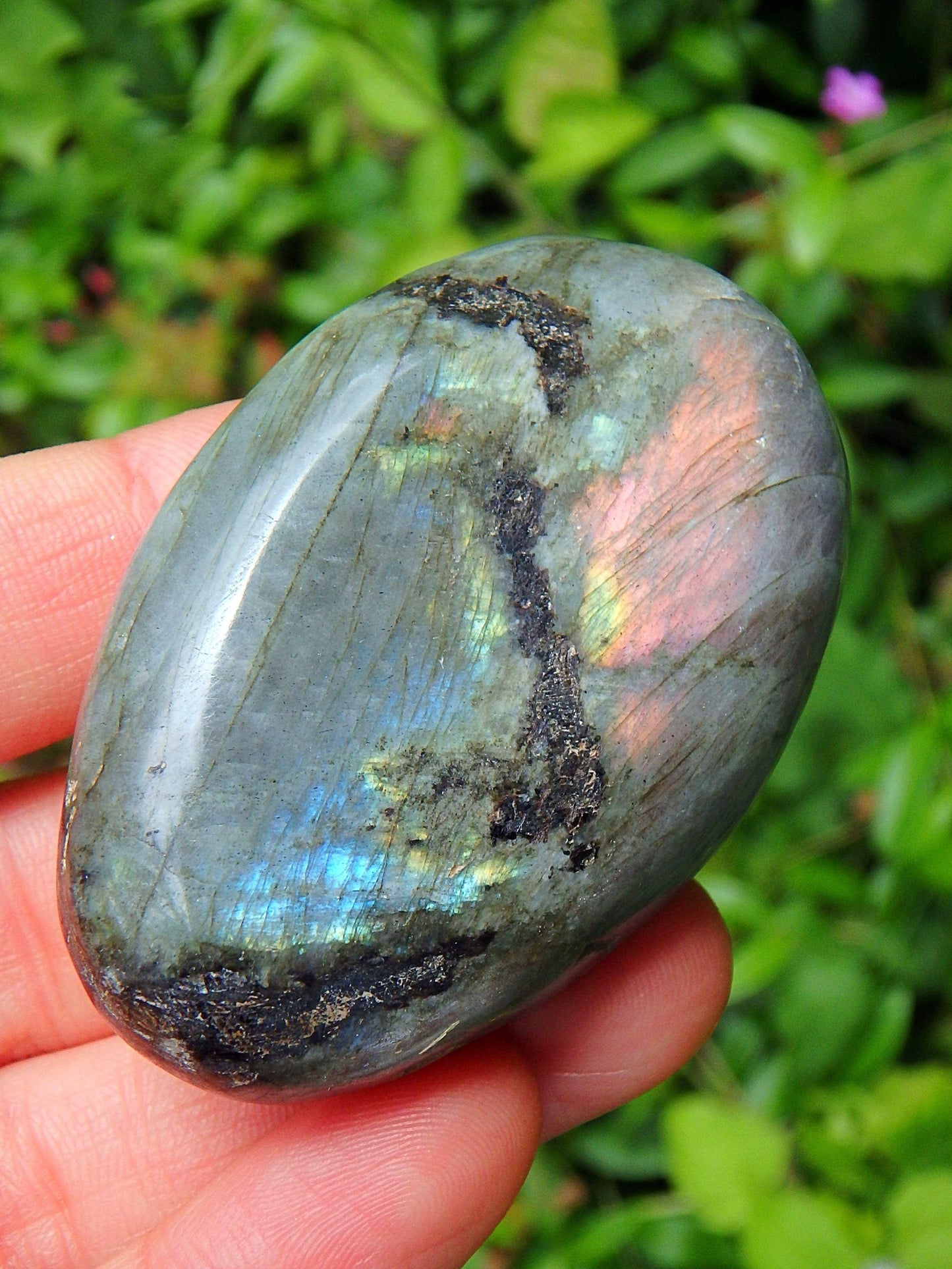 Blushing Rare Pink & Purple Flashes Labradorite Palm Stone Carving