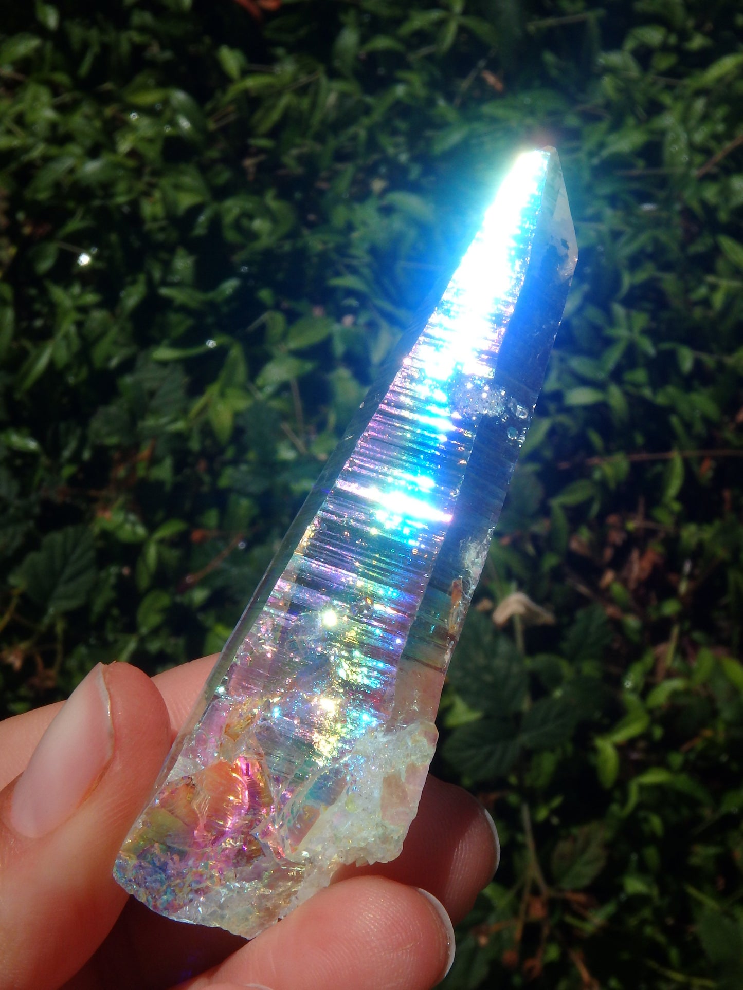 Incredible Rainbows~Long Angel Aura Colombian Lemurian Quartz Point 1 - Metiz Tier Price