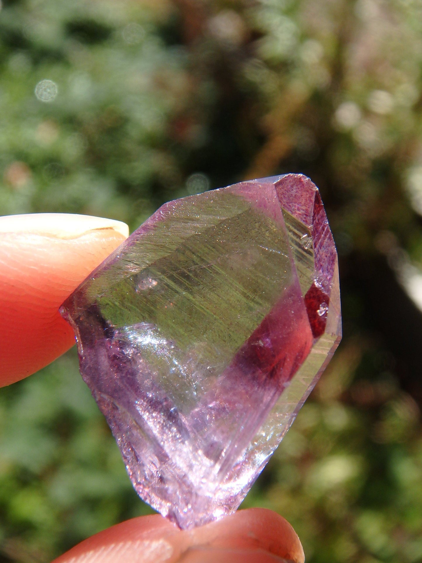 Adorable Dainty Rose Aura Colombian Lemurian Quartz Point 5