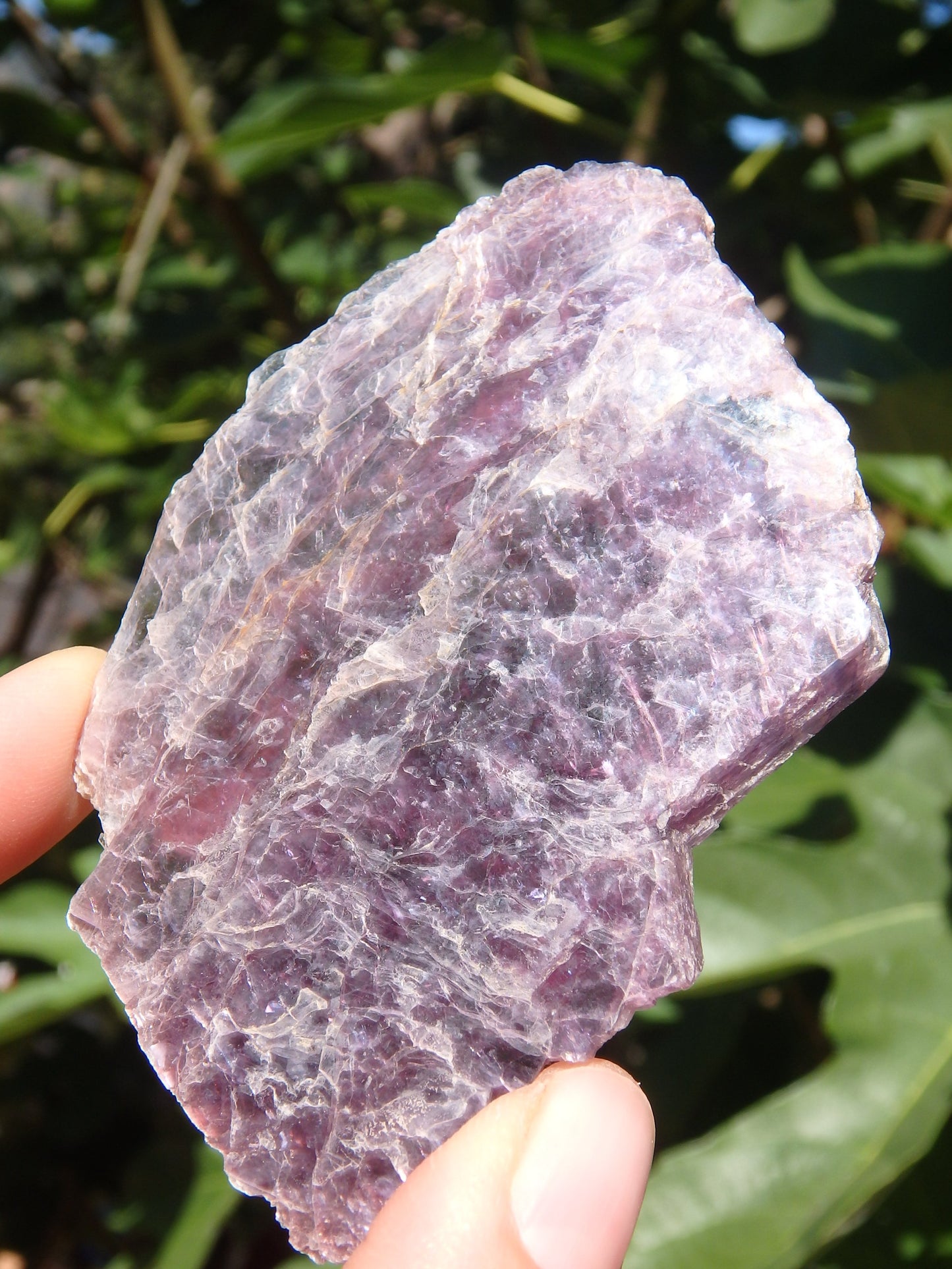 Shiny Lilac Lepidolite Slice Specimen From Brazil - Metiz Tier Price