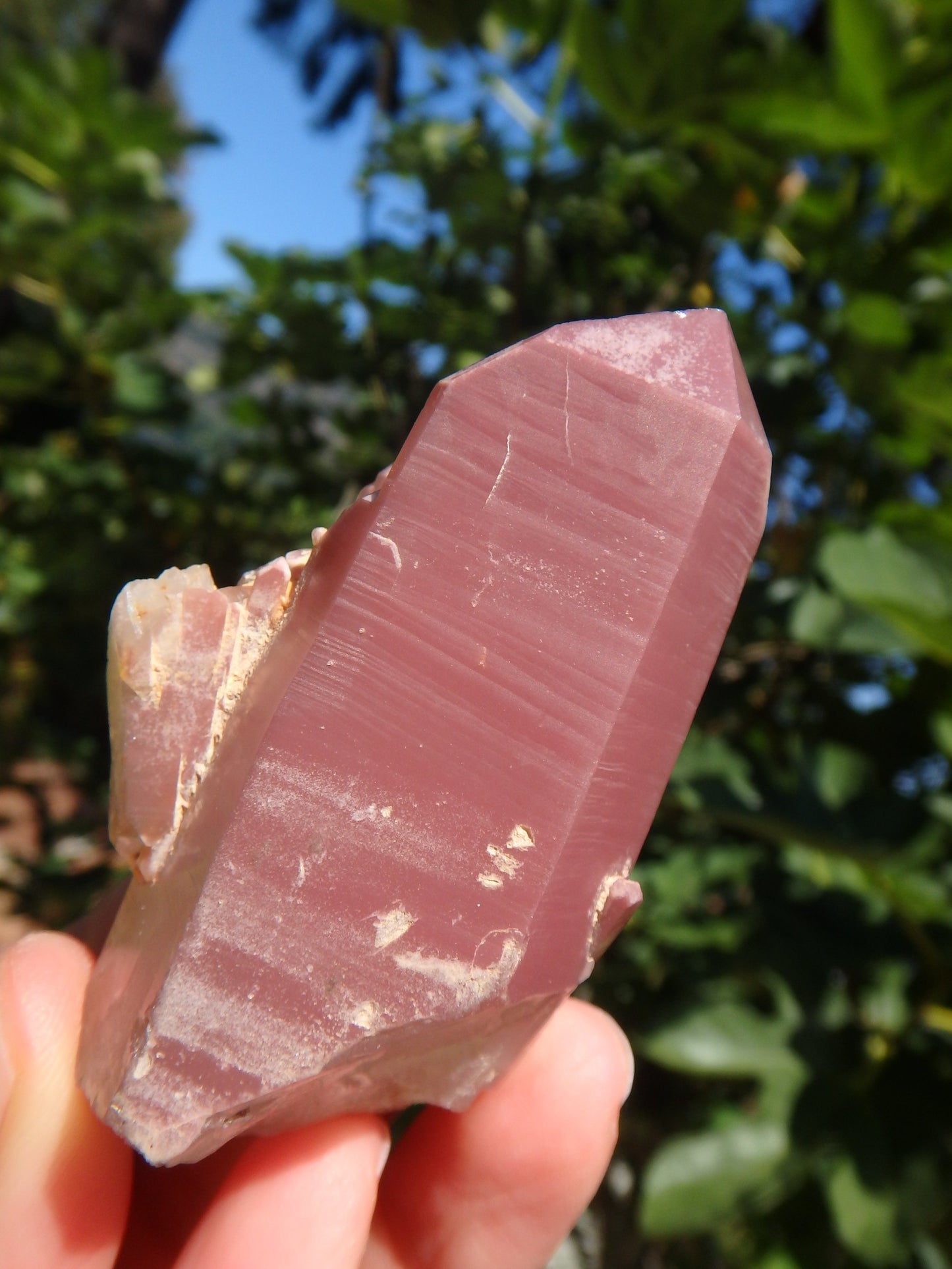 Healing Lithium Quartz Elestial Point From Brazil1 - Earth Family Crystals