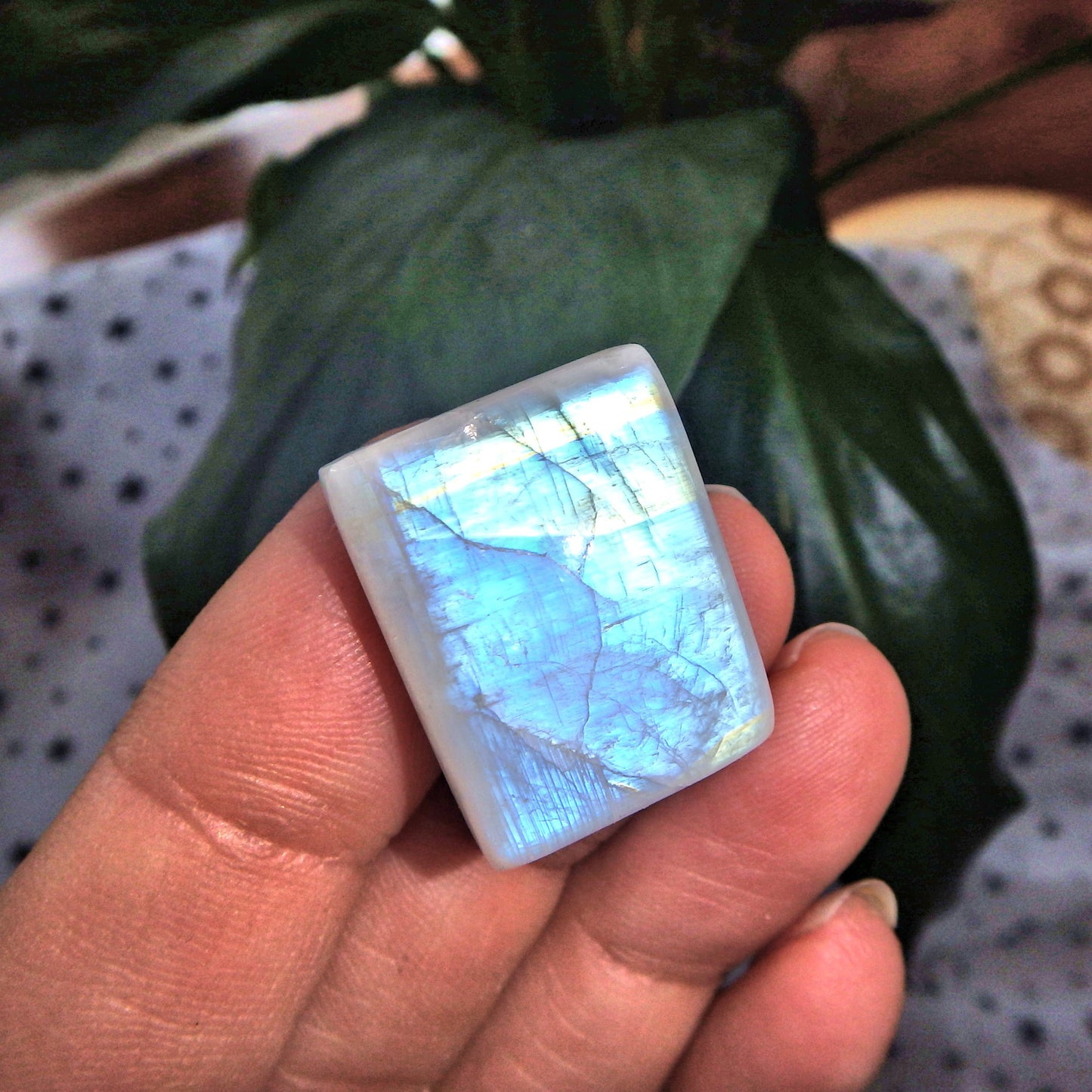 Lovely Colors Rainbow Moonstone Cabochon-Ideal for Crafting - Earth Family Crystals