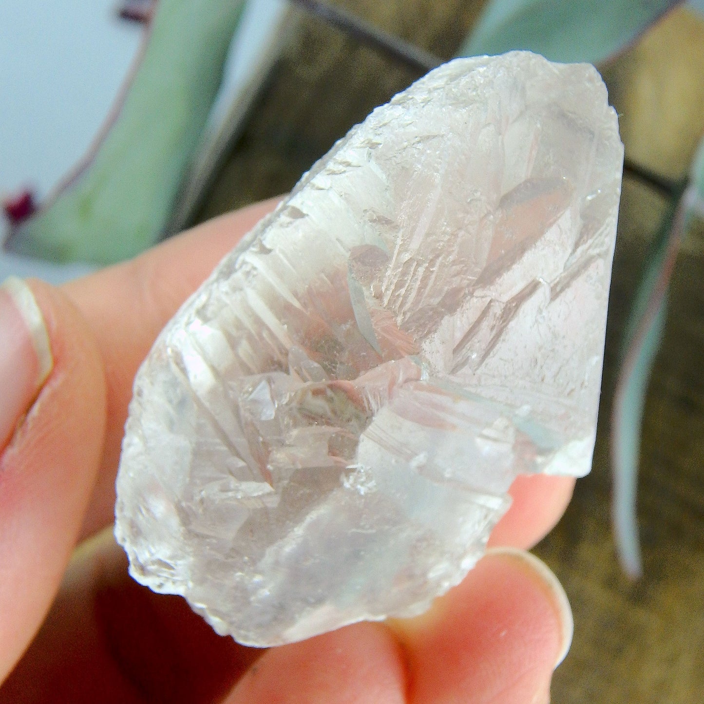 High Vibe~Peak Elestial Point & Record Keepers Gemmy Clear Nirvana Ice Quartz Point