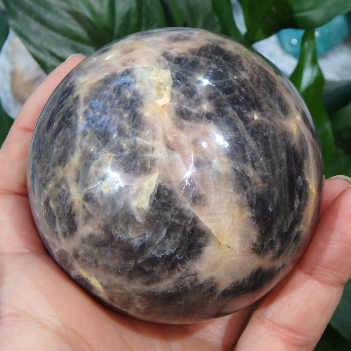 Hypnotic Rainbows & Sheen Large Black Moonstone Sphere Carving