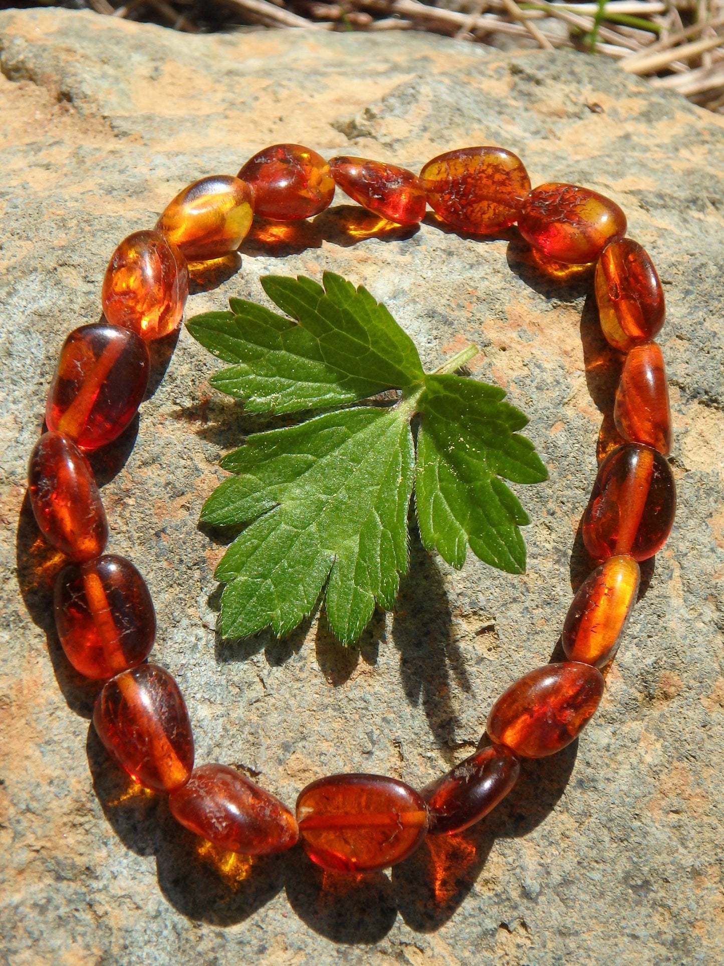 Cognac Lithuanian Baltic Amber Bracelet on Stretchy Elastic