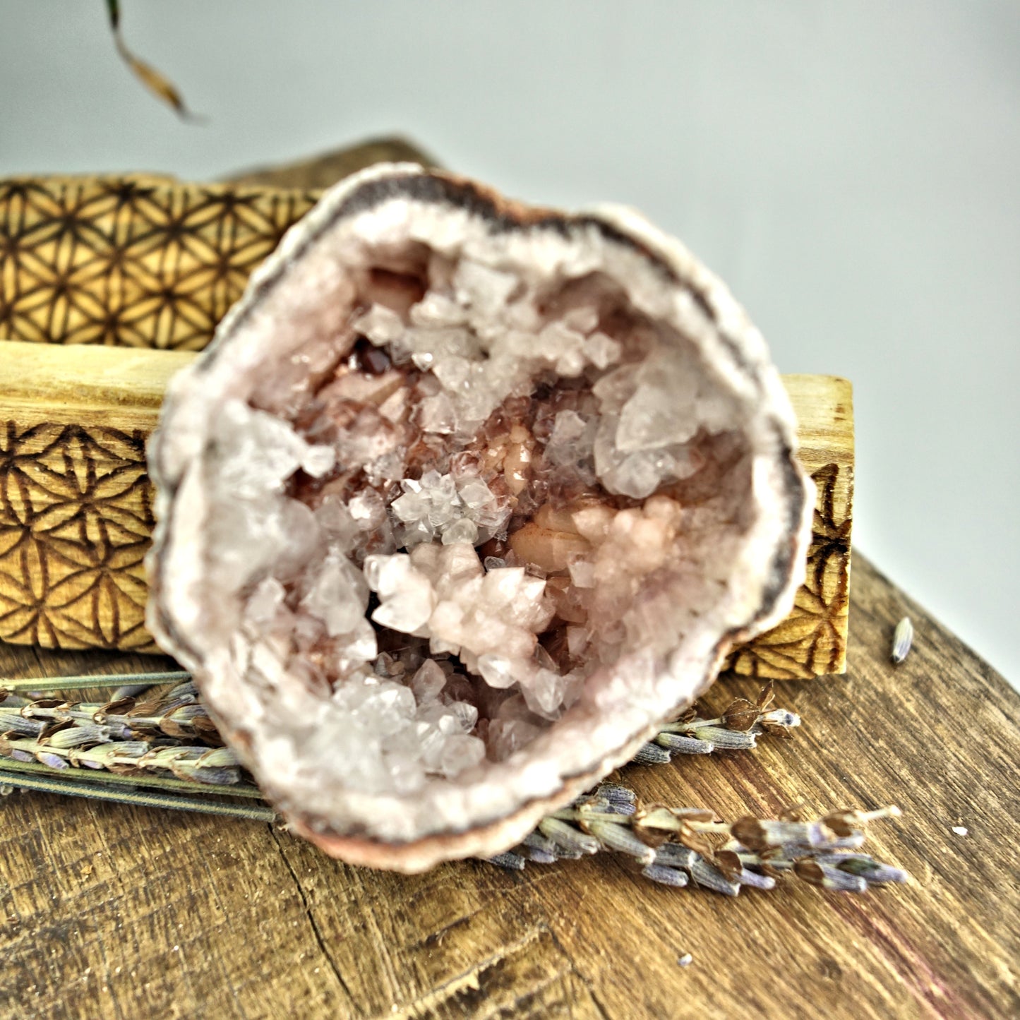 NEW FIND! Unique Pink Amethyst & Clear Calcite Druzy Geode Cluster From Patagonia - Earth Family Crystals